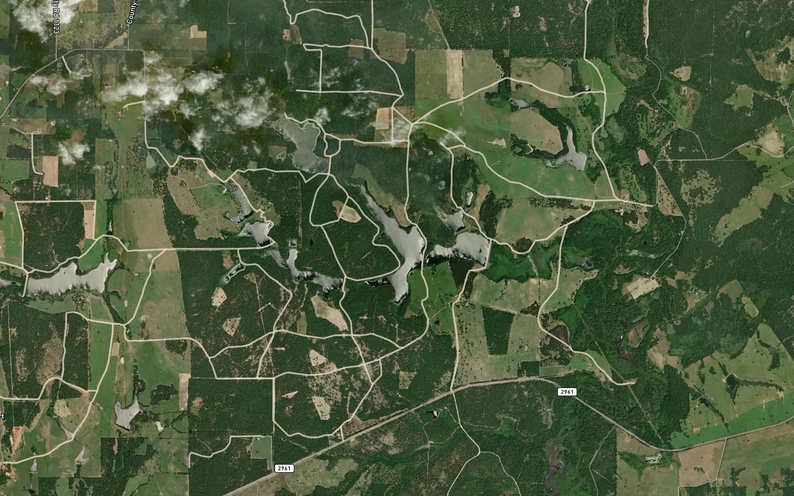 Gator Lake
