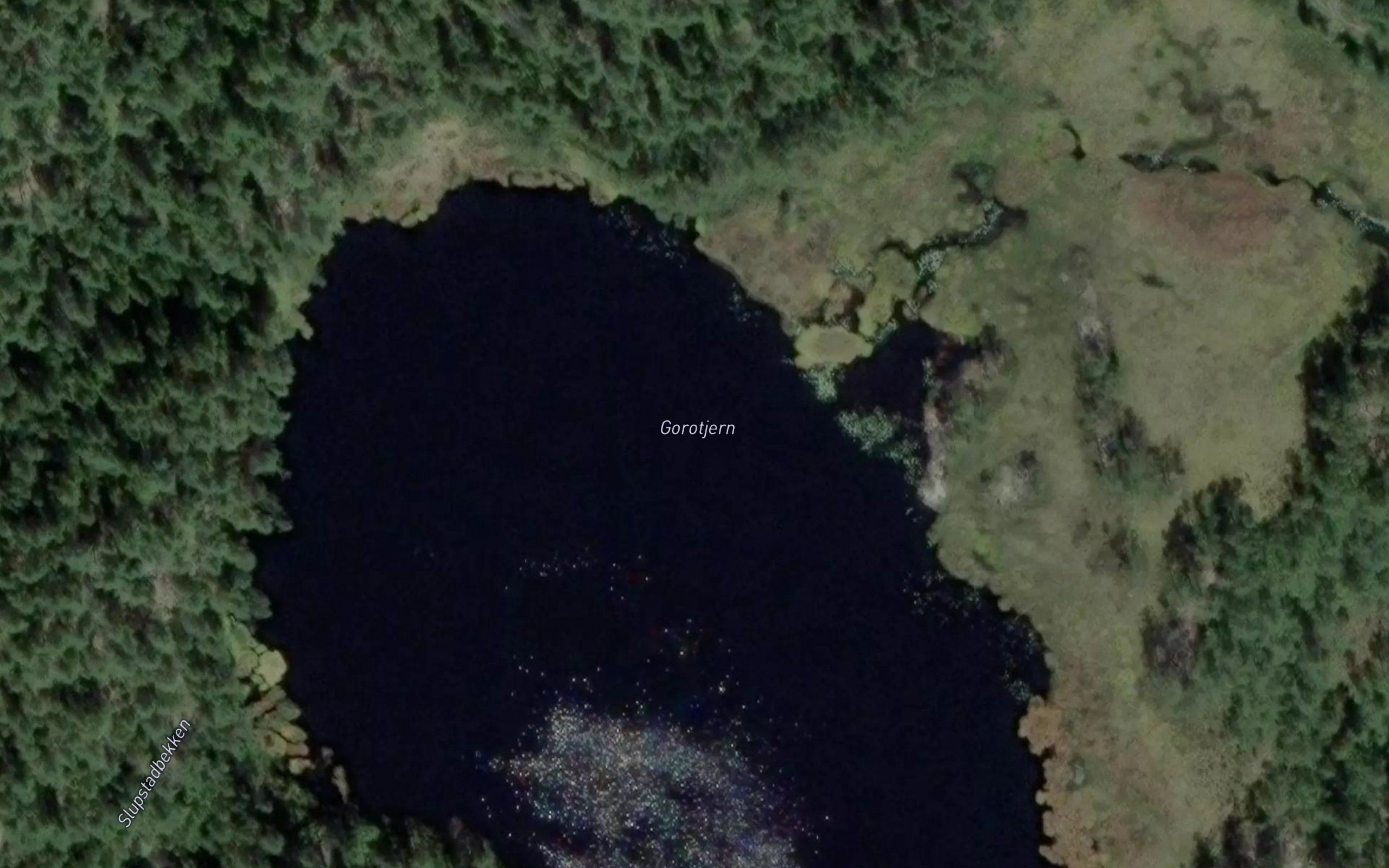 Gorotjern