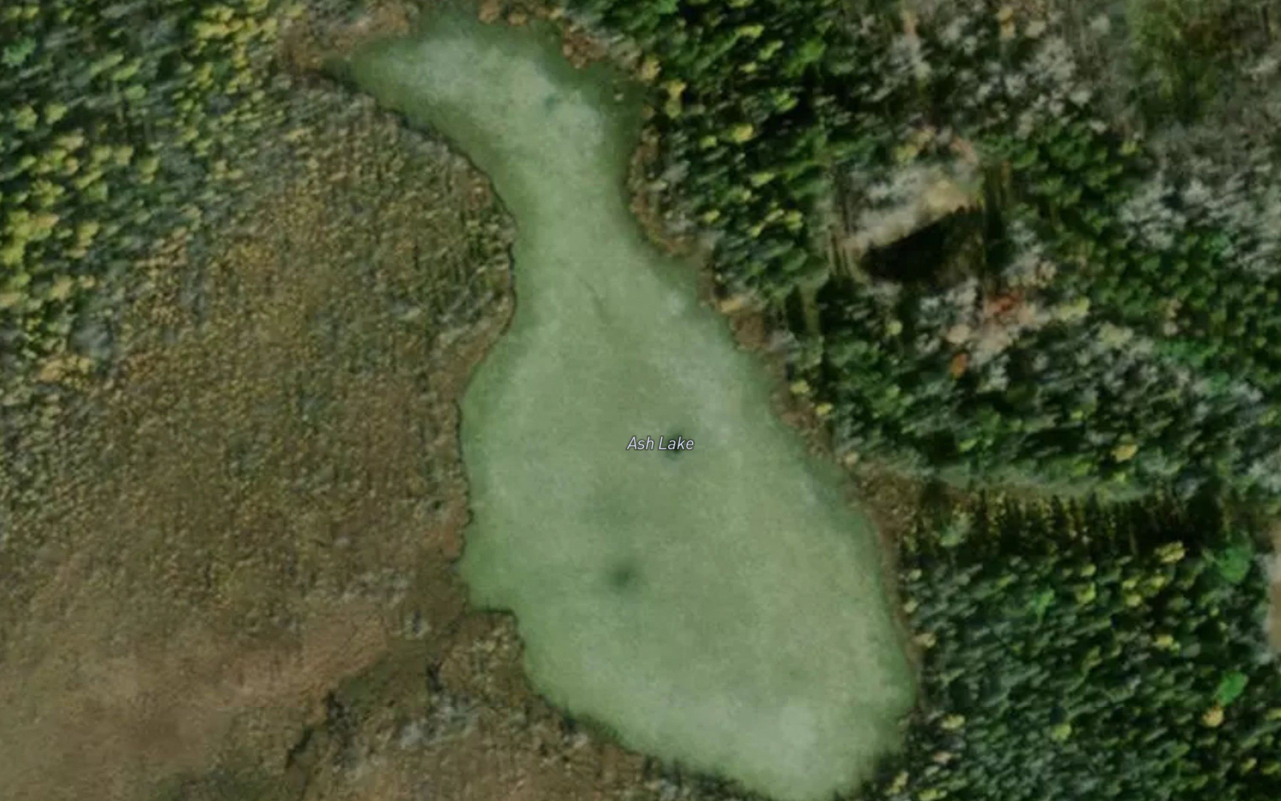 Ash Lake