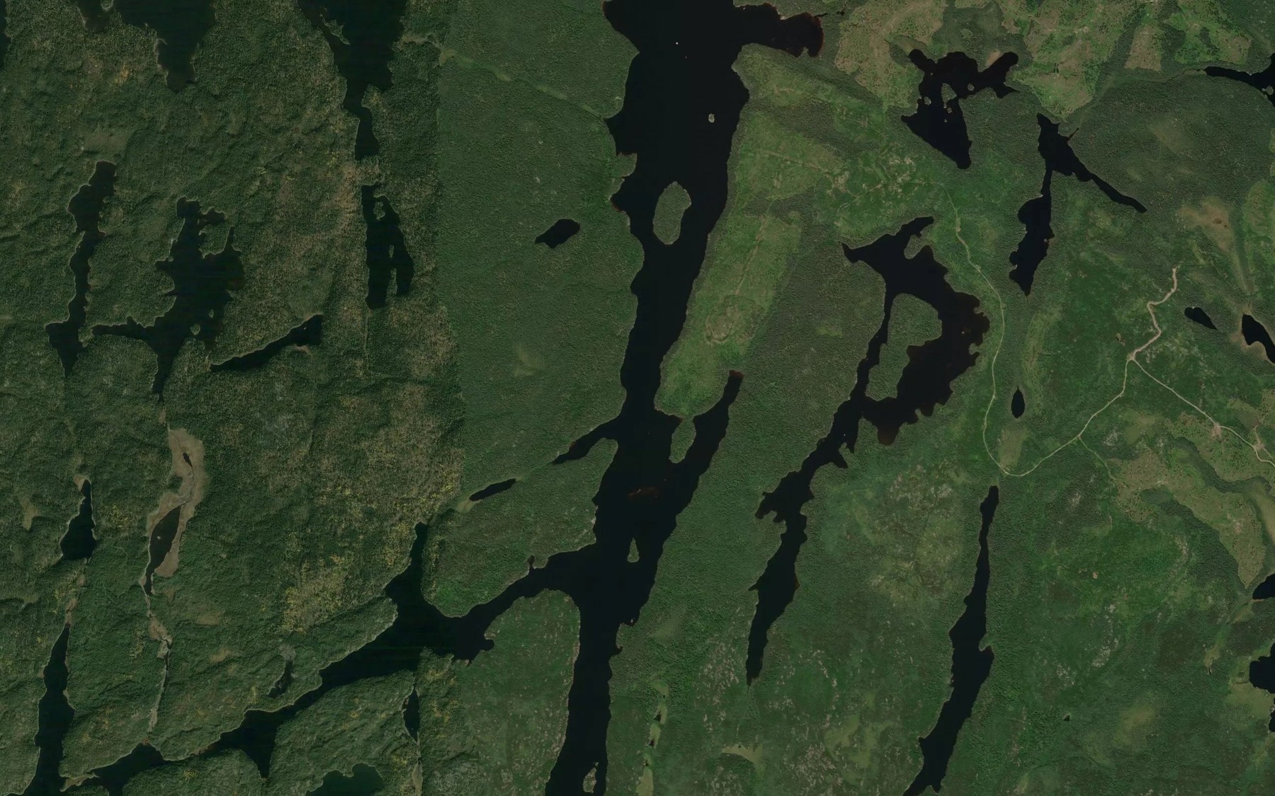 Satellite map of the Barnard Lake