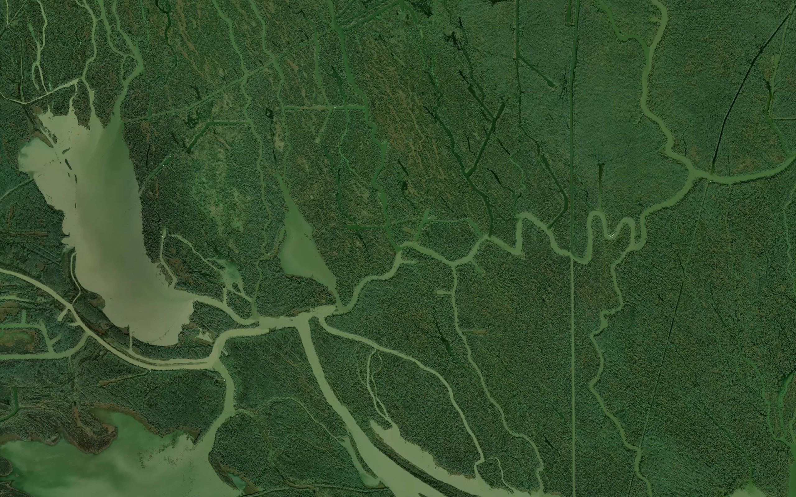 Bayou April