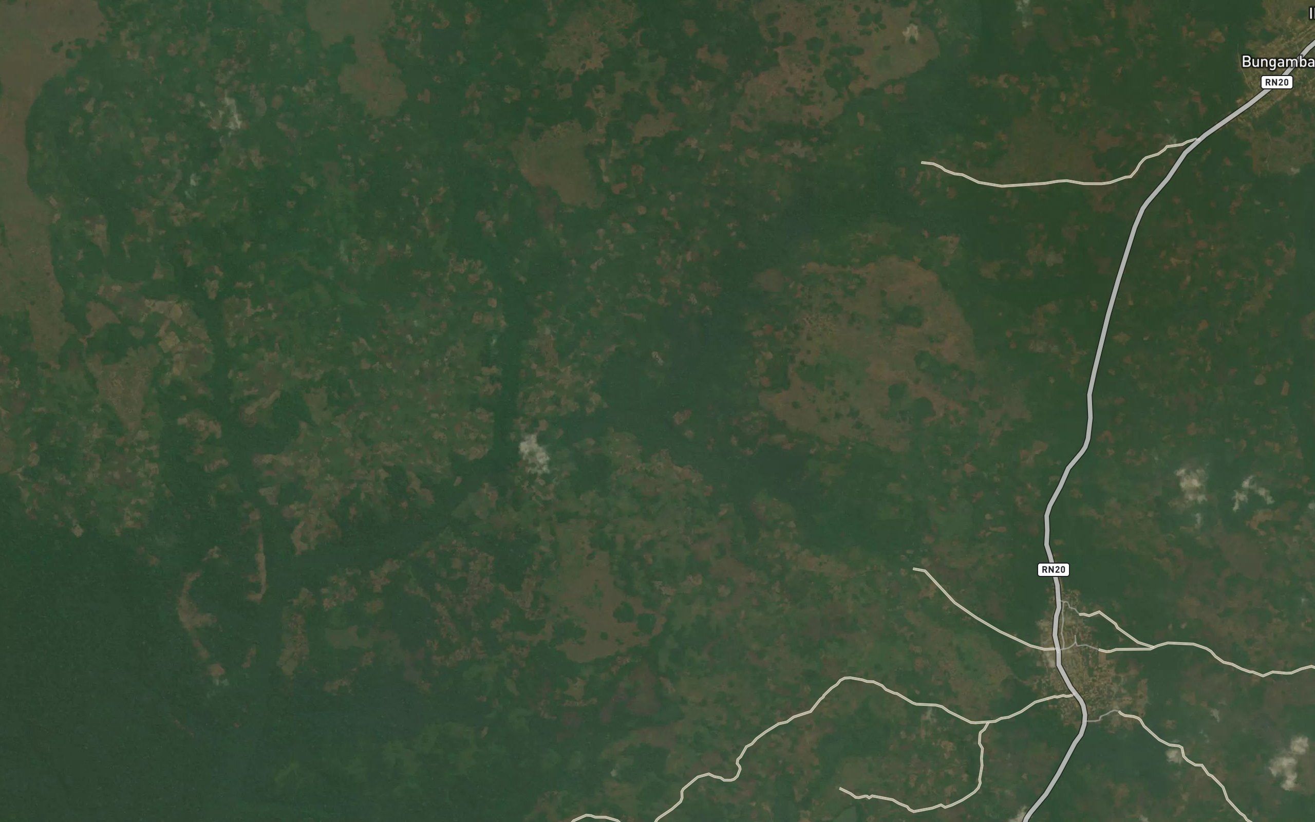 Makonga