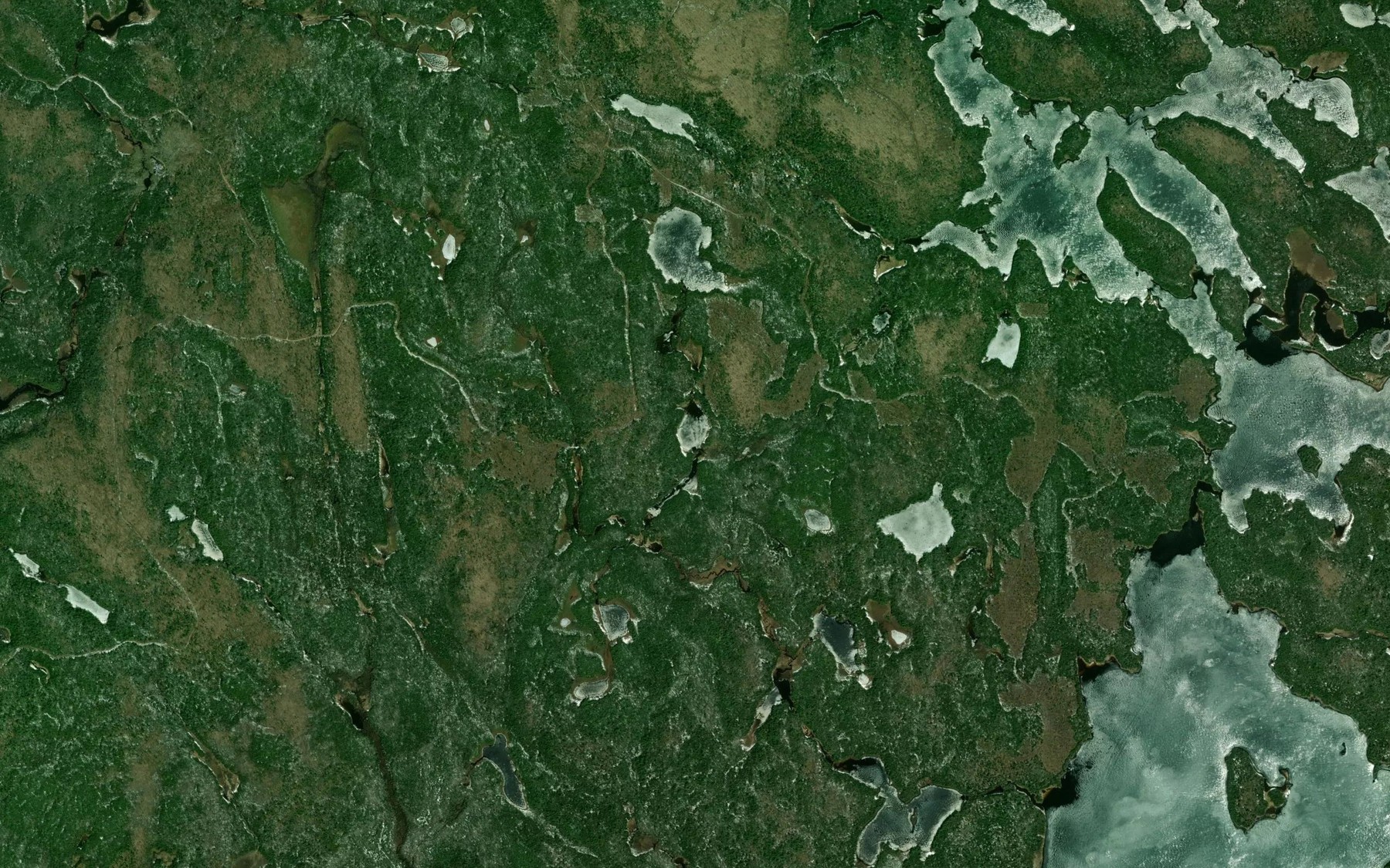 Satellite map of the Lac Host
