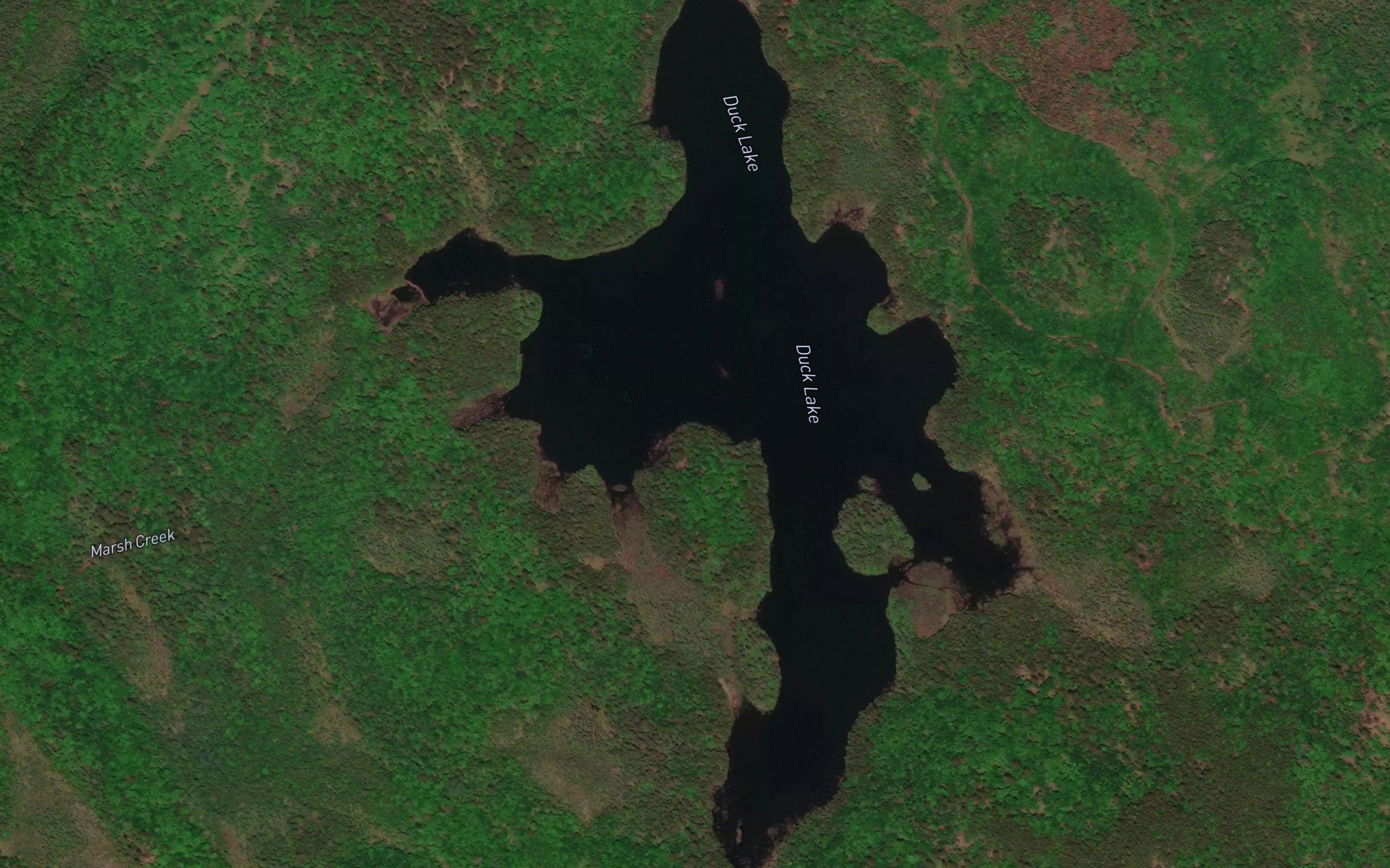 Duck Lake