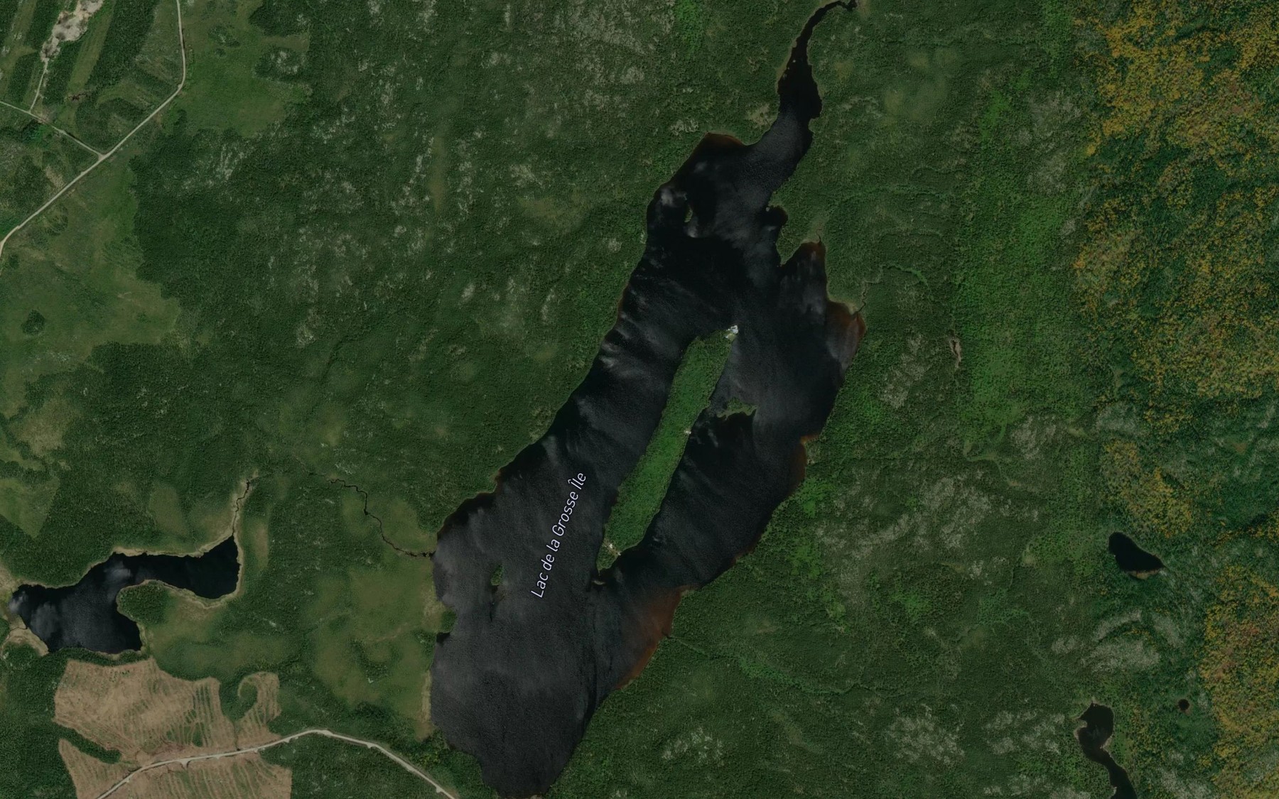 Satellite map of the Lac de la Grosse Ile