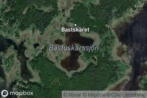 Bastuskarssjon