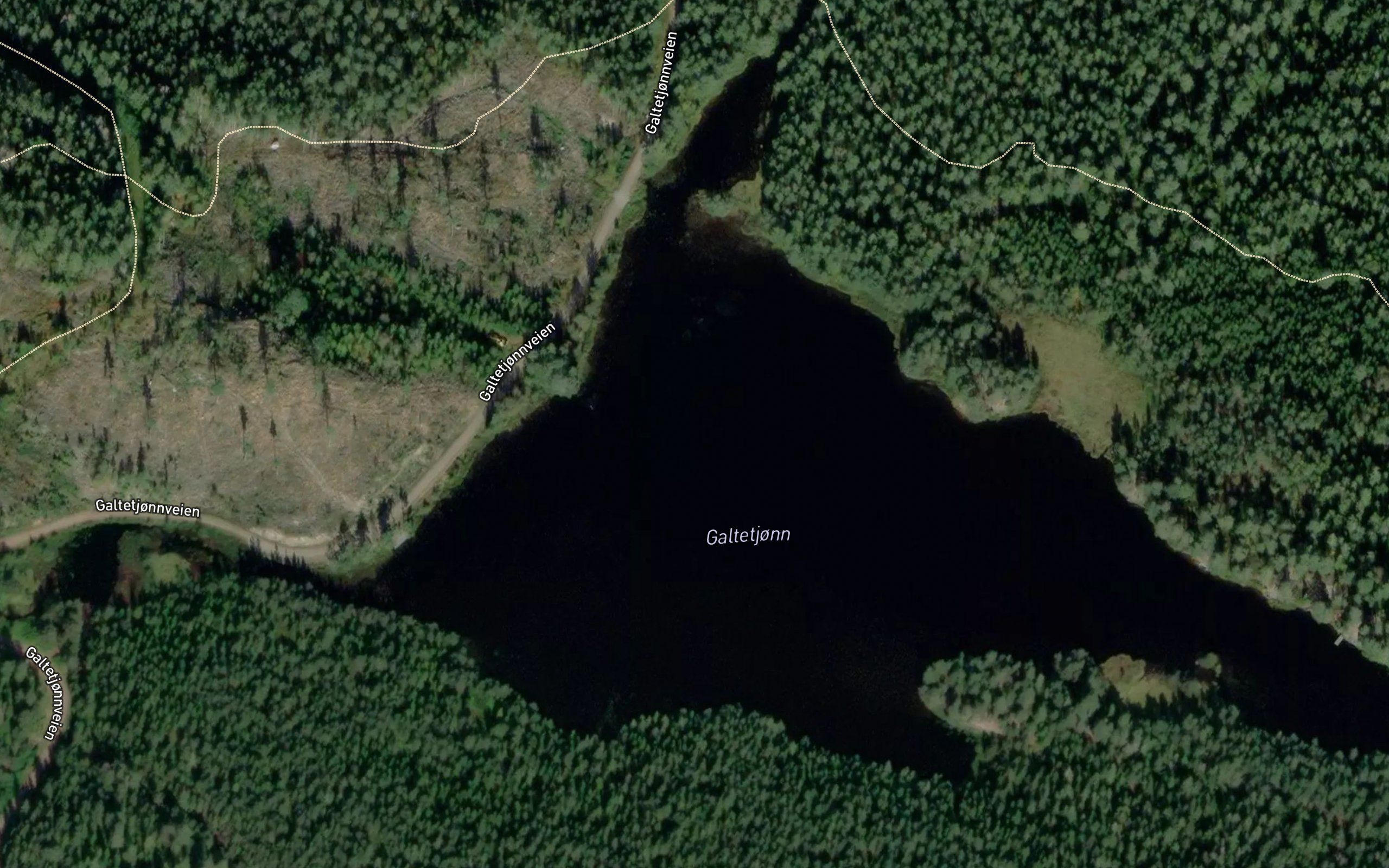 Galtetjorn