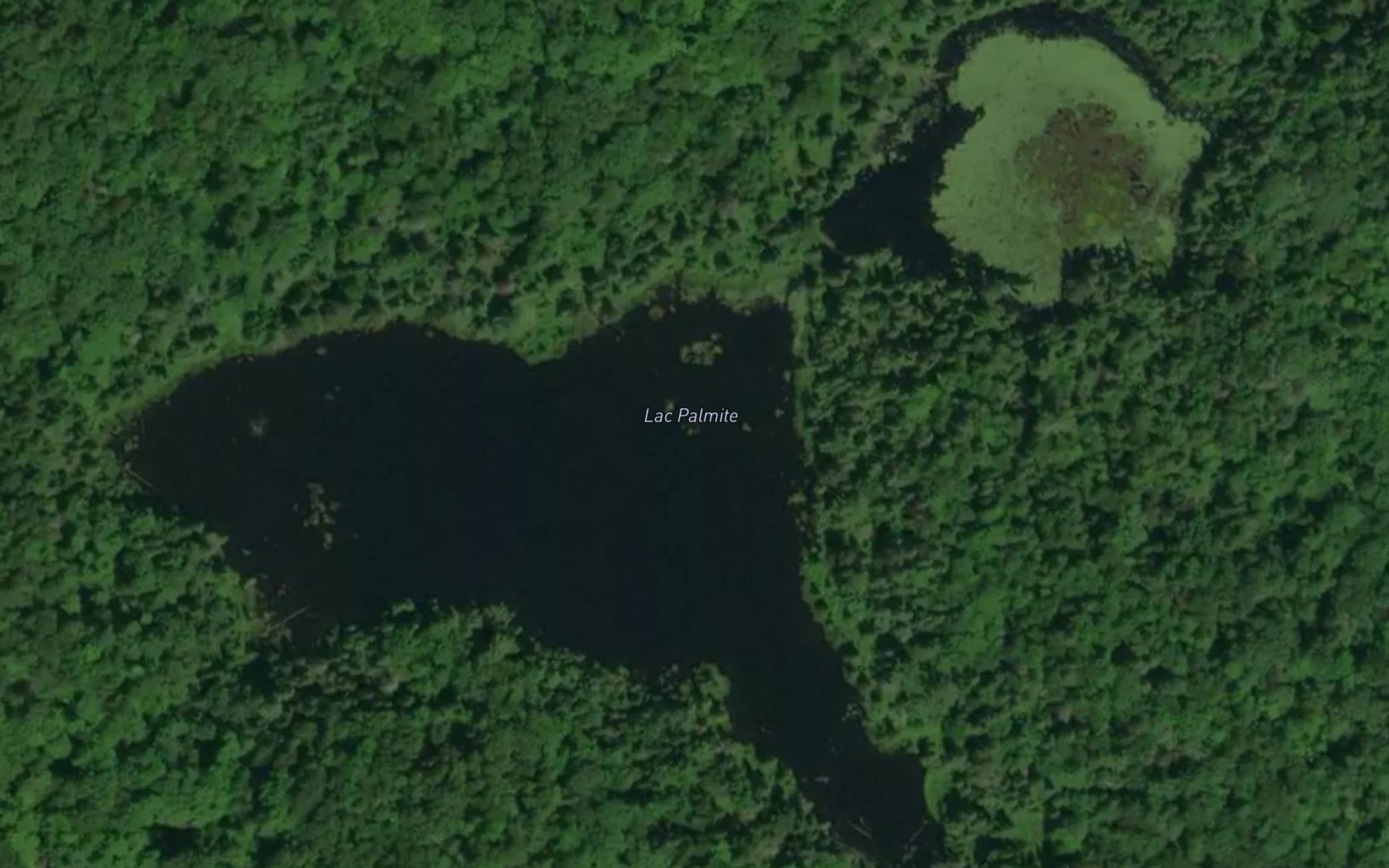 Satellite map of the Lac Palmite