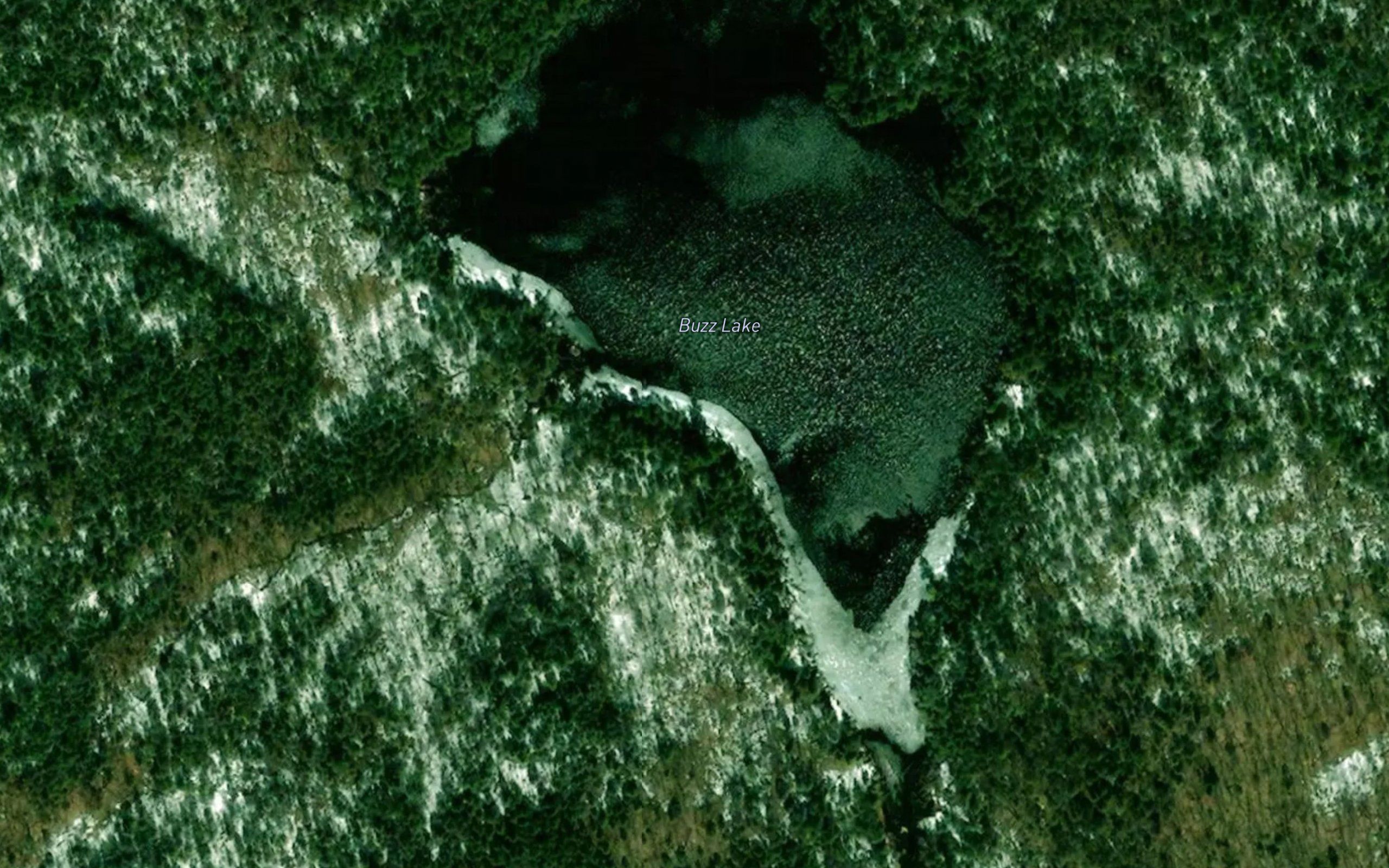 Buzz Lake