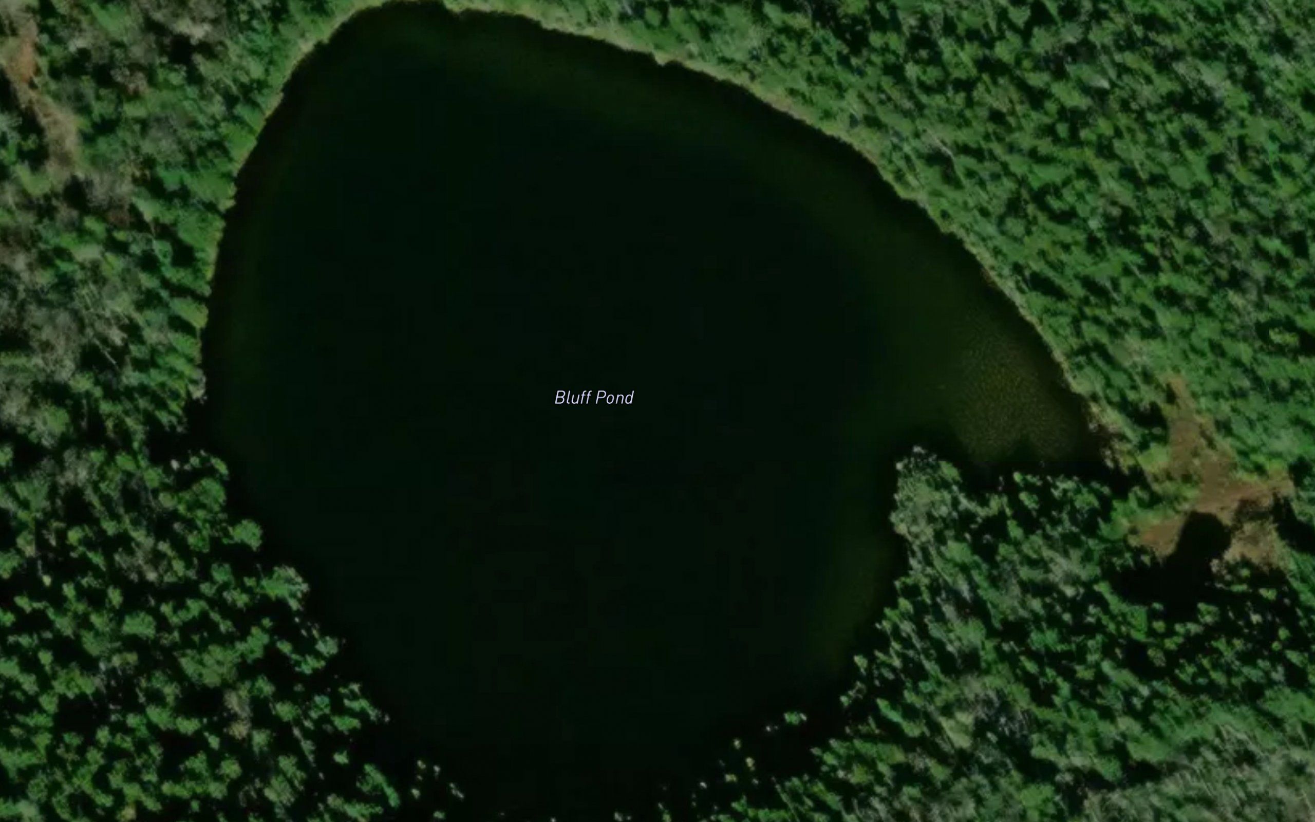 Bluff Pond
