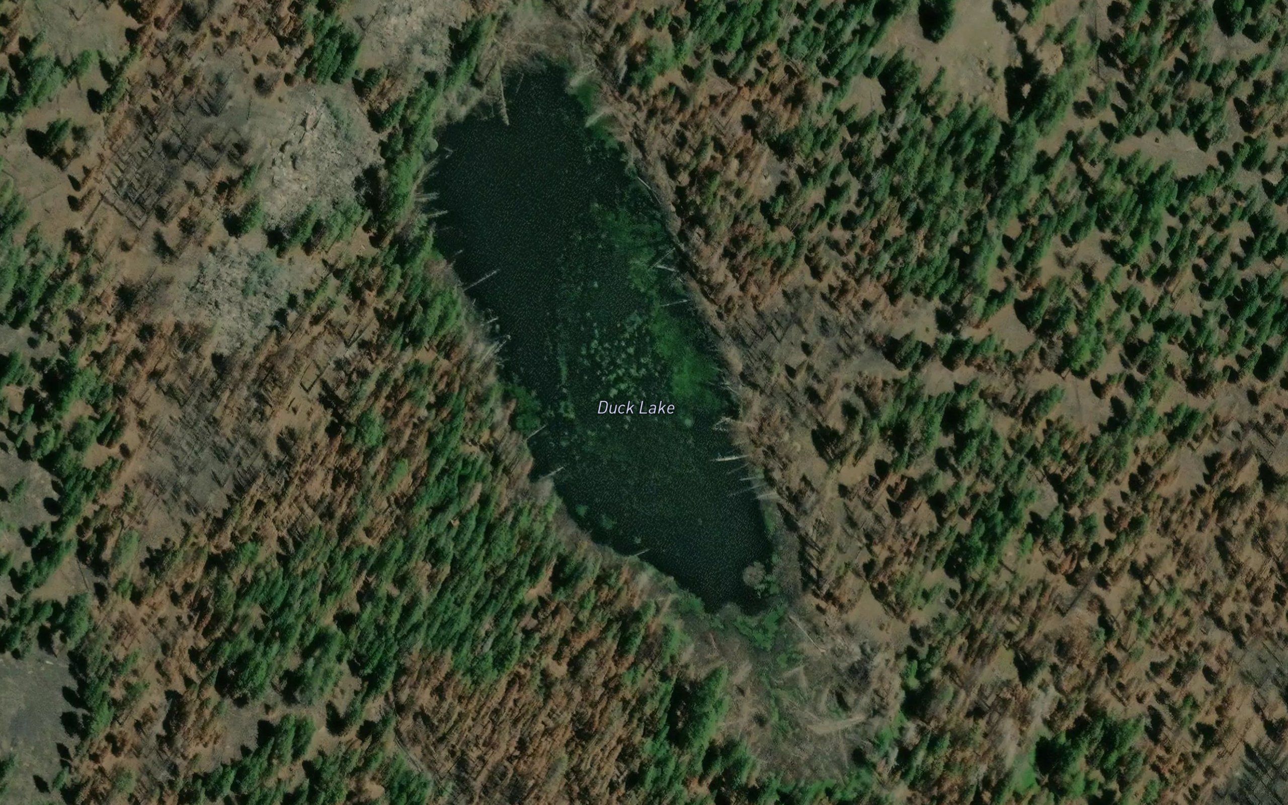 Duck Lake