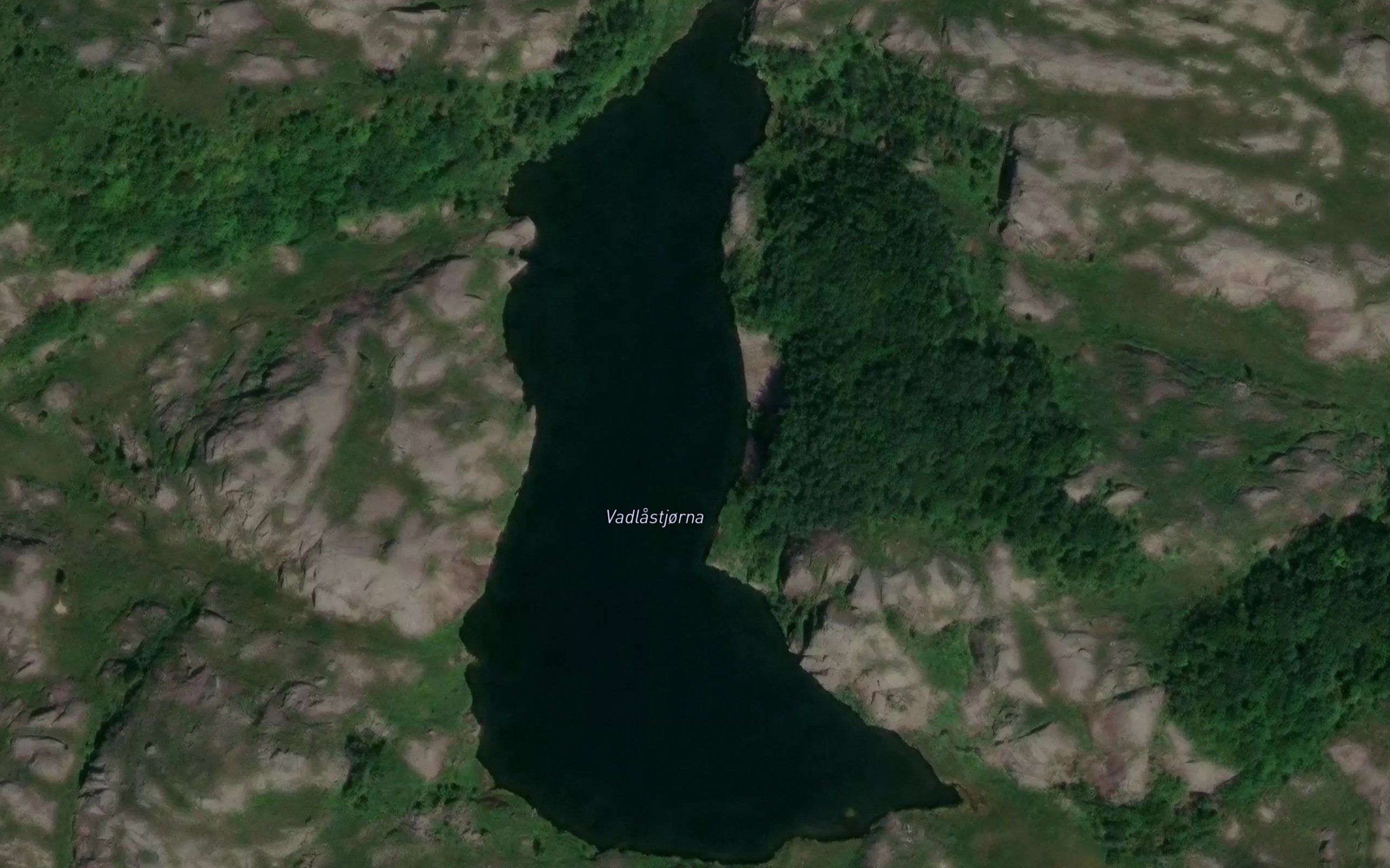 Vadlastjorna