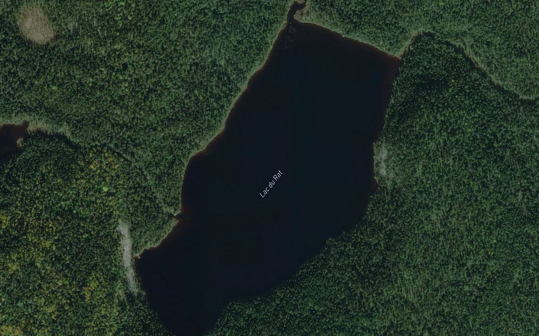 Satellite map of the Lac du Rat