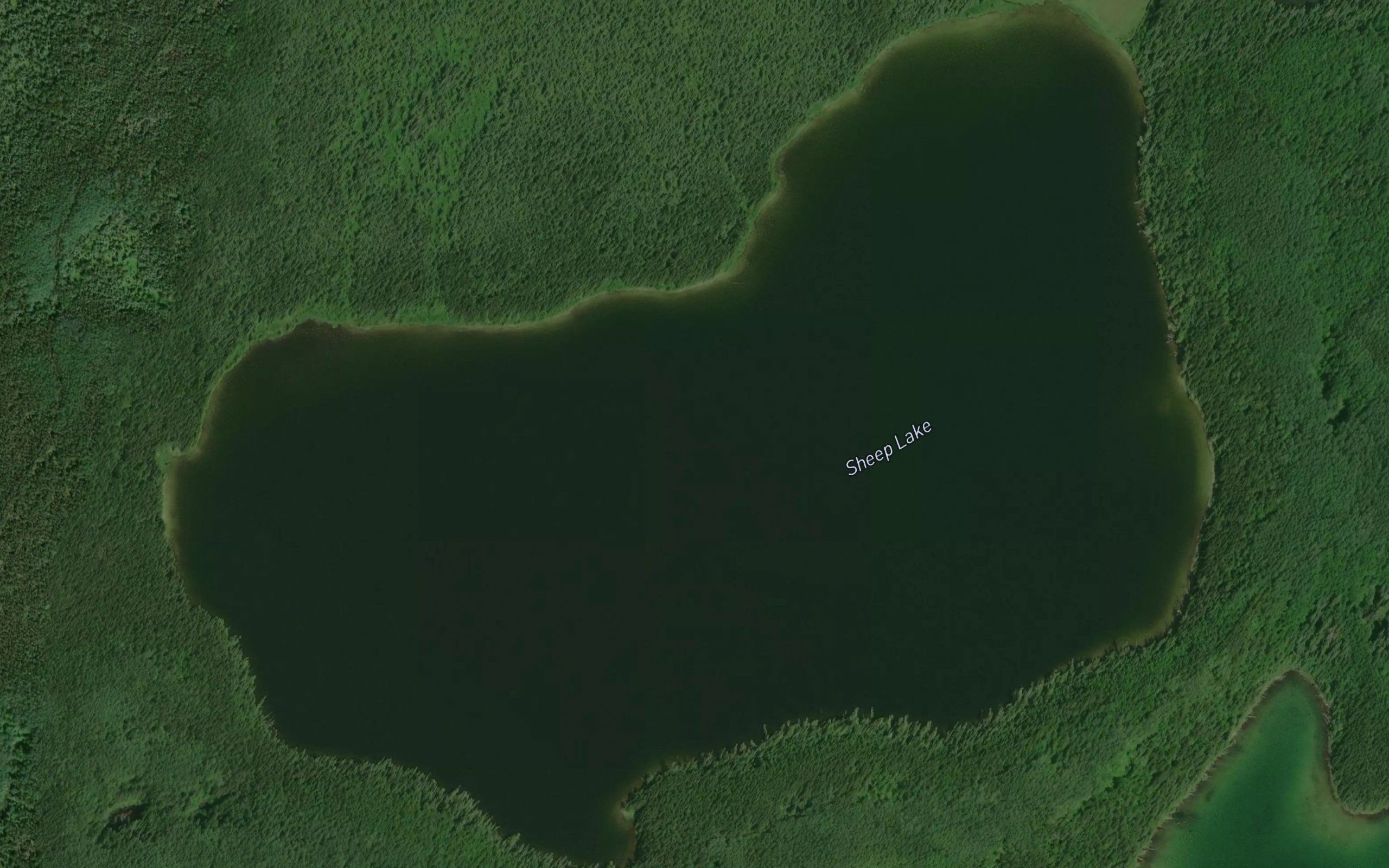 Sheep Lake