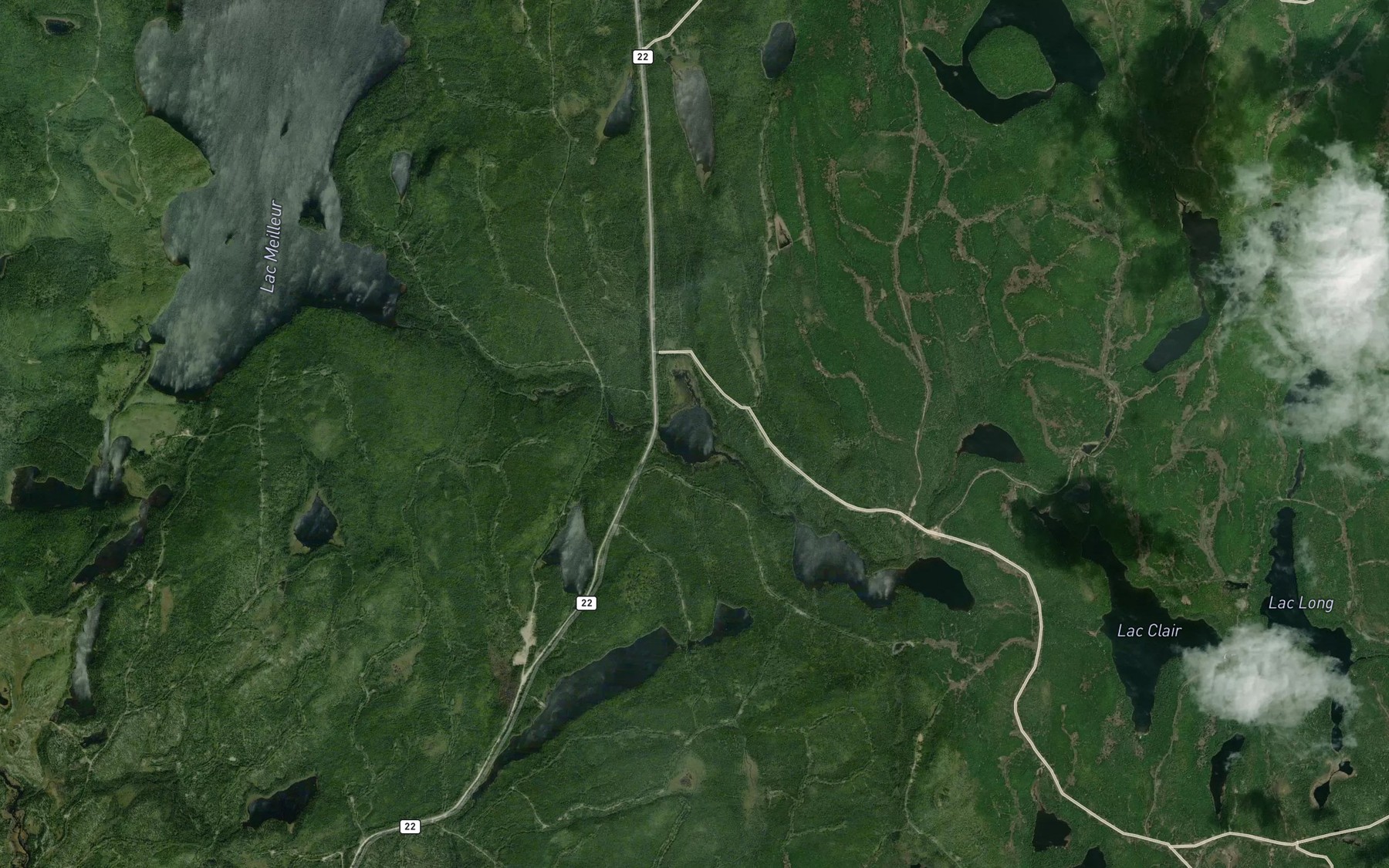 Satellite map of the Lac Rice