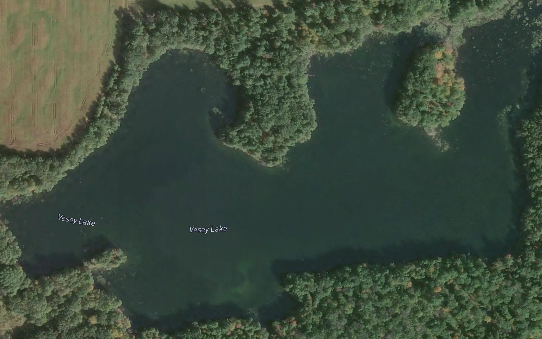 Satellite map of the Vesey Lake