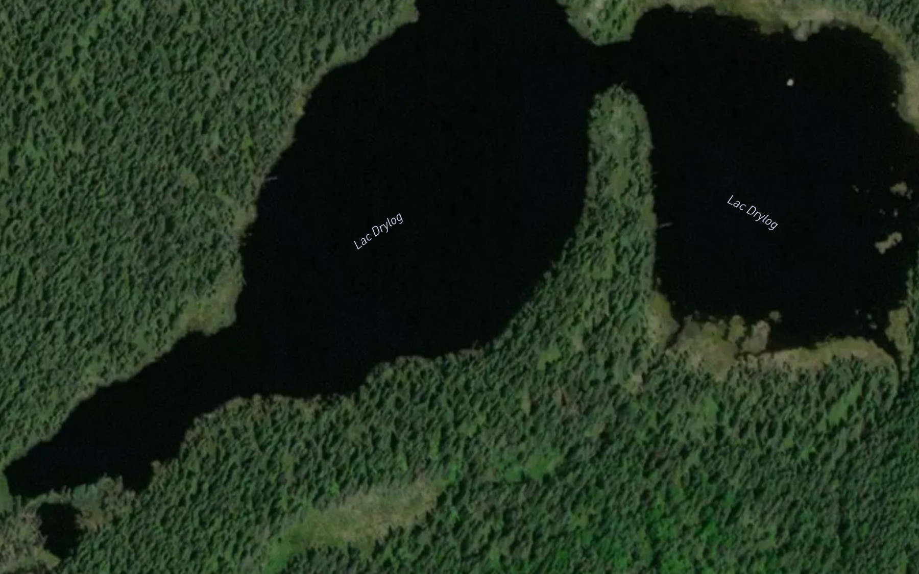Satellite map of the Lac Drylog
