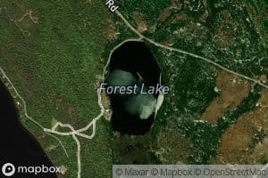 Forest Lake