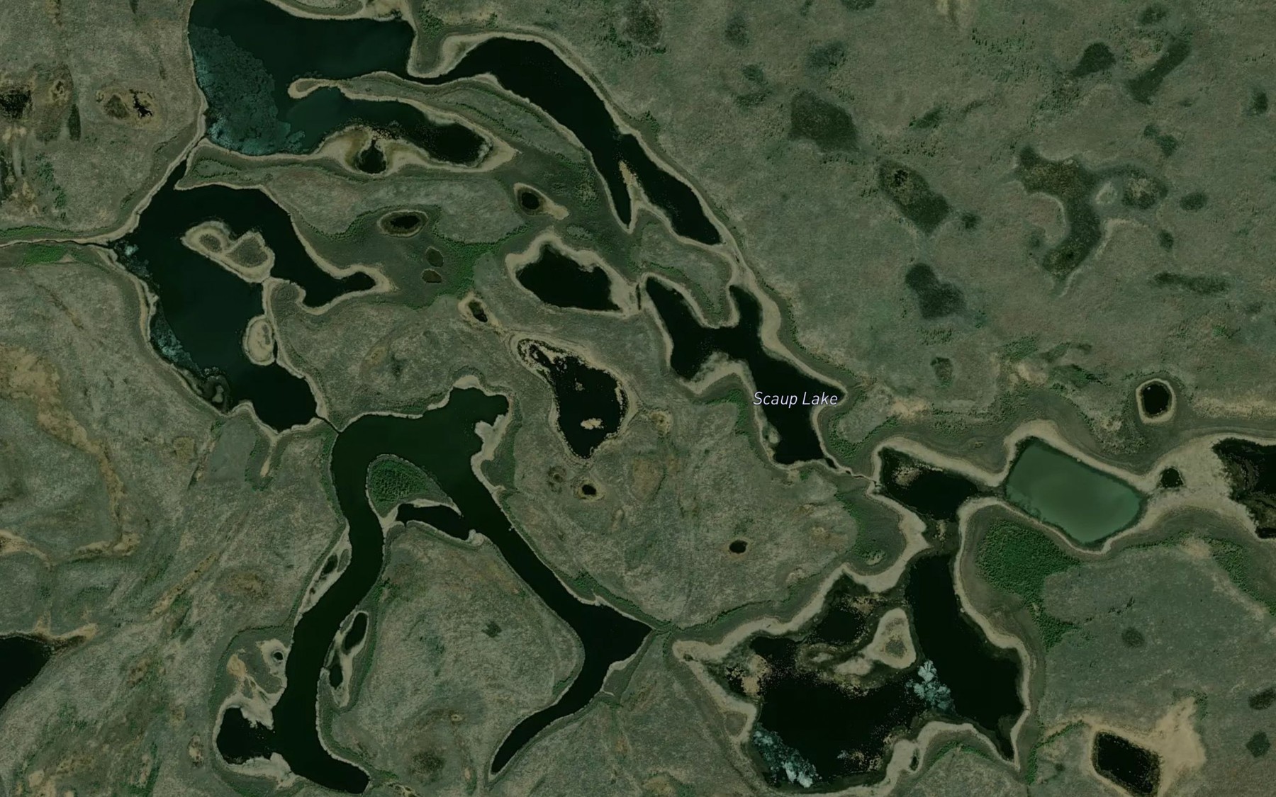 Satellite map of the Scaup Lake