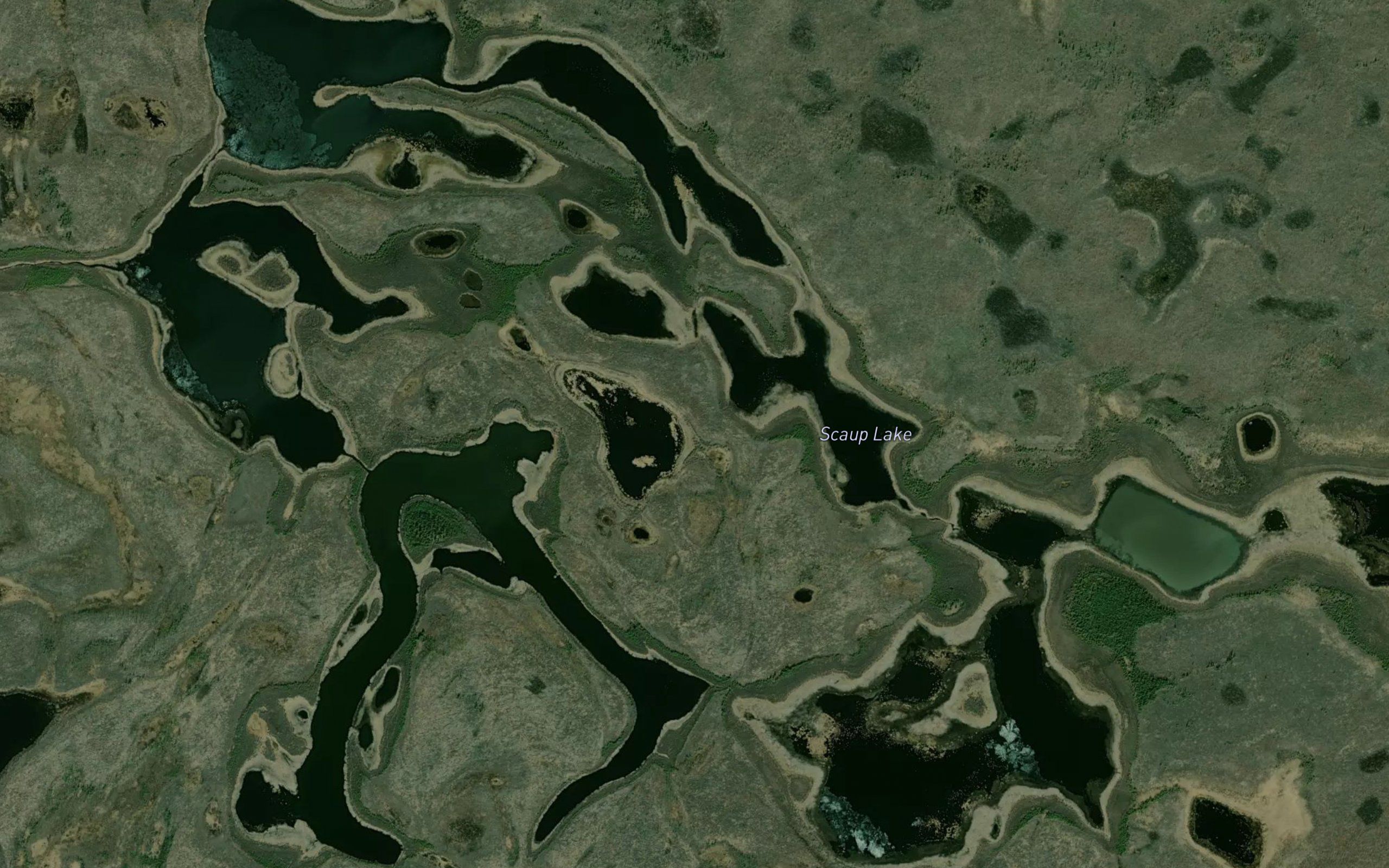 Scaup Lake