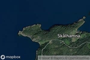 Kavika