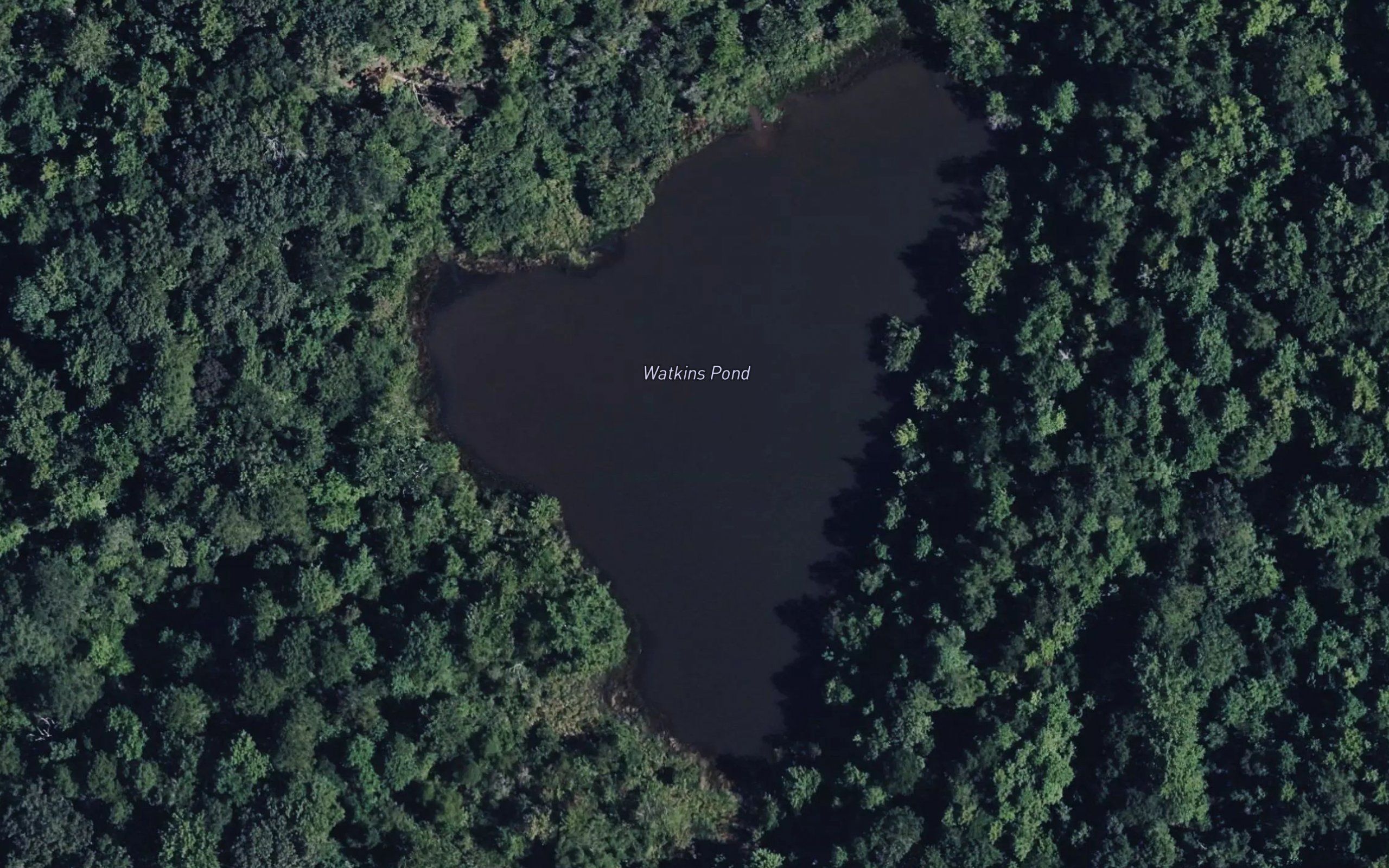 Watkins Pond