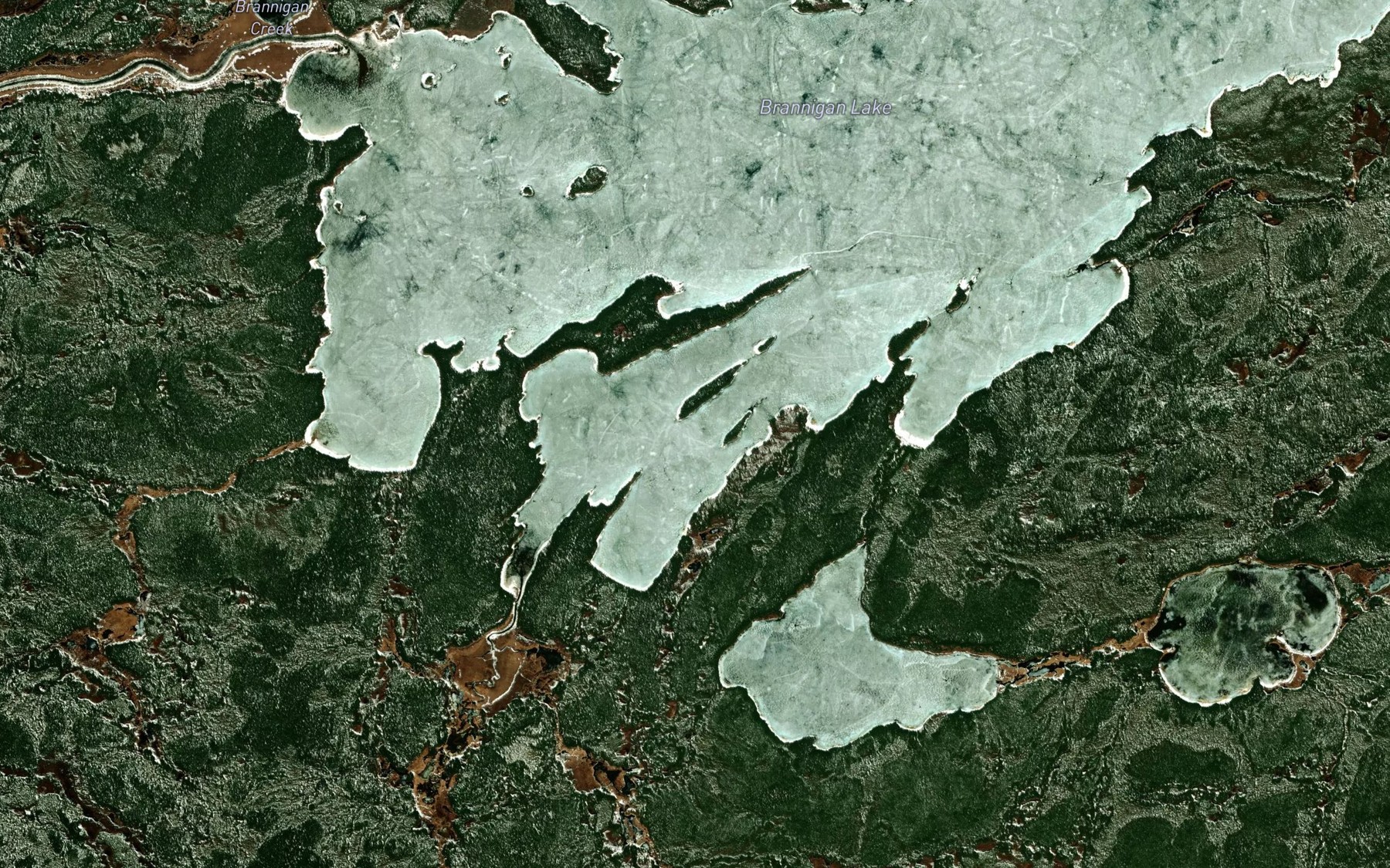 Satellite map of the Parsons Bay