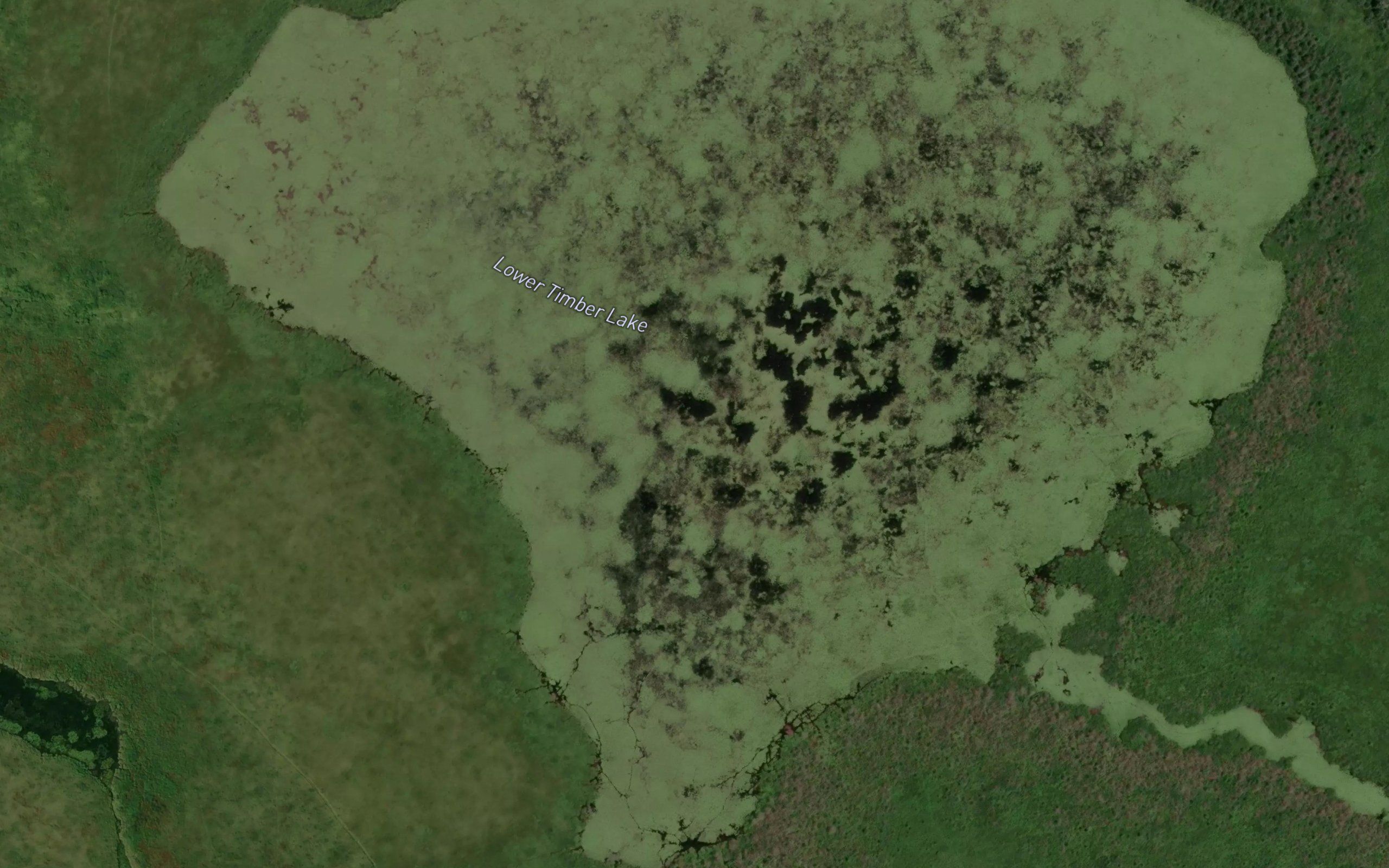 Lower Timber Lake