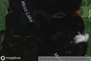 Moss Lake