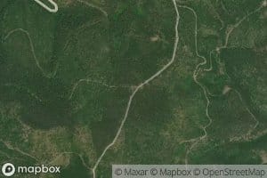 Southern Cross Spring