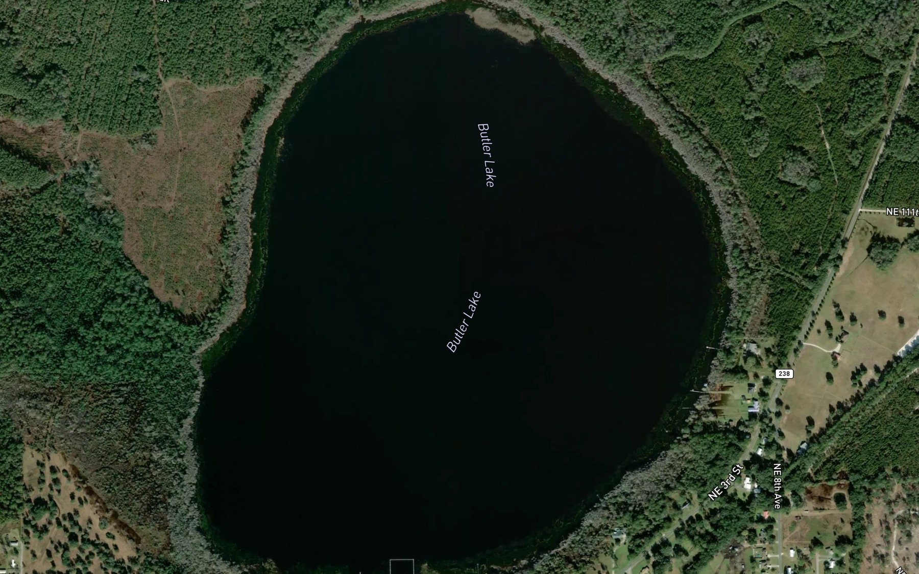 Satellite map of the Butler Lake