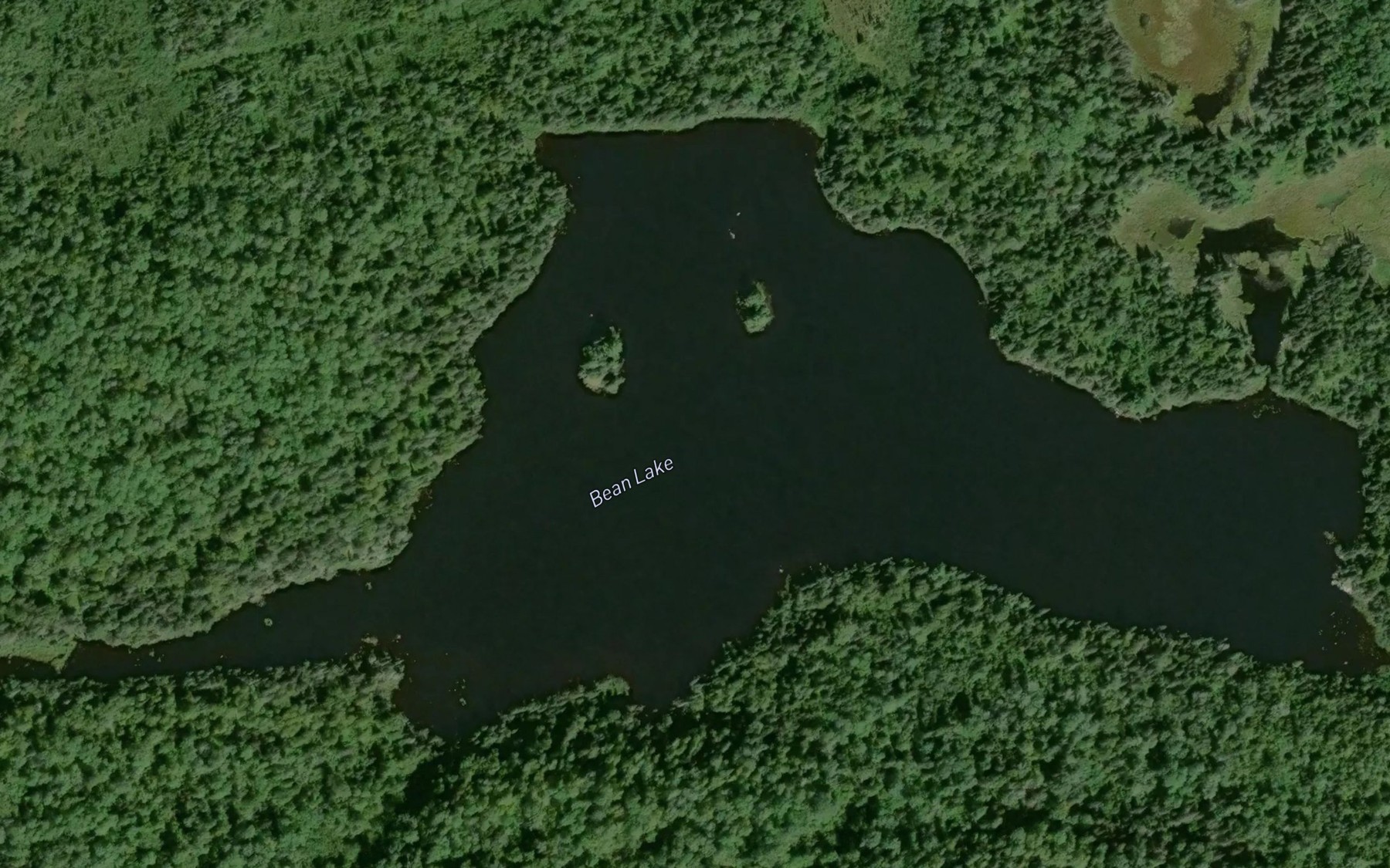 Satellite map of the Bean Lake