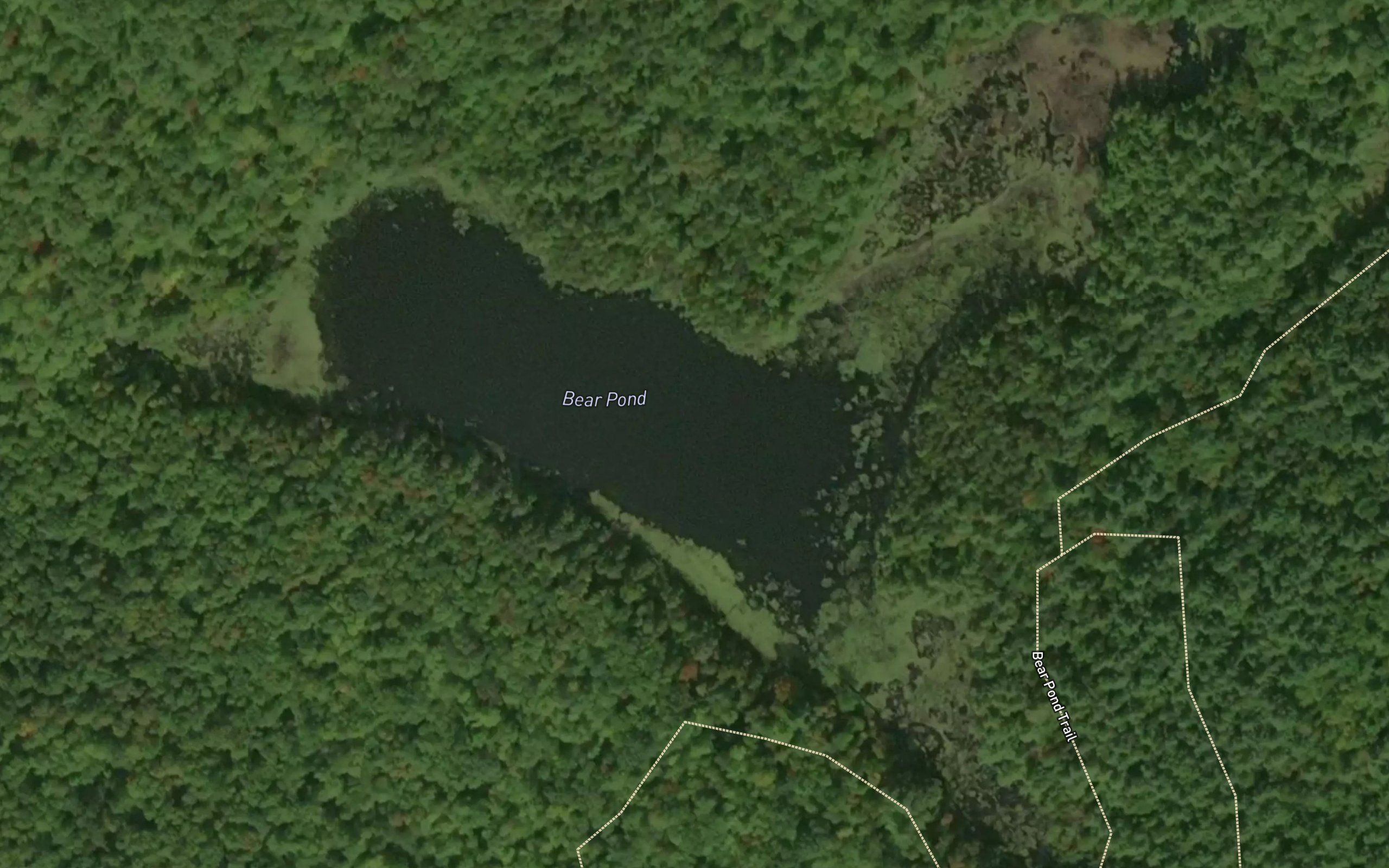 Bear Pond