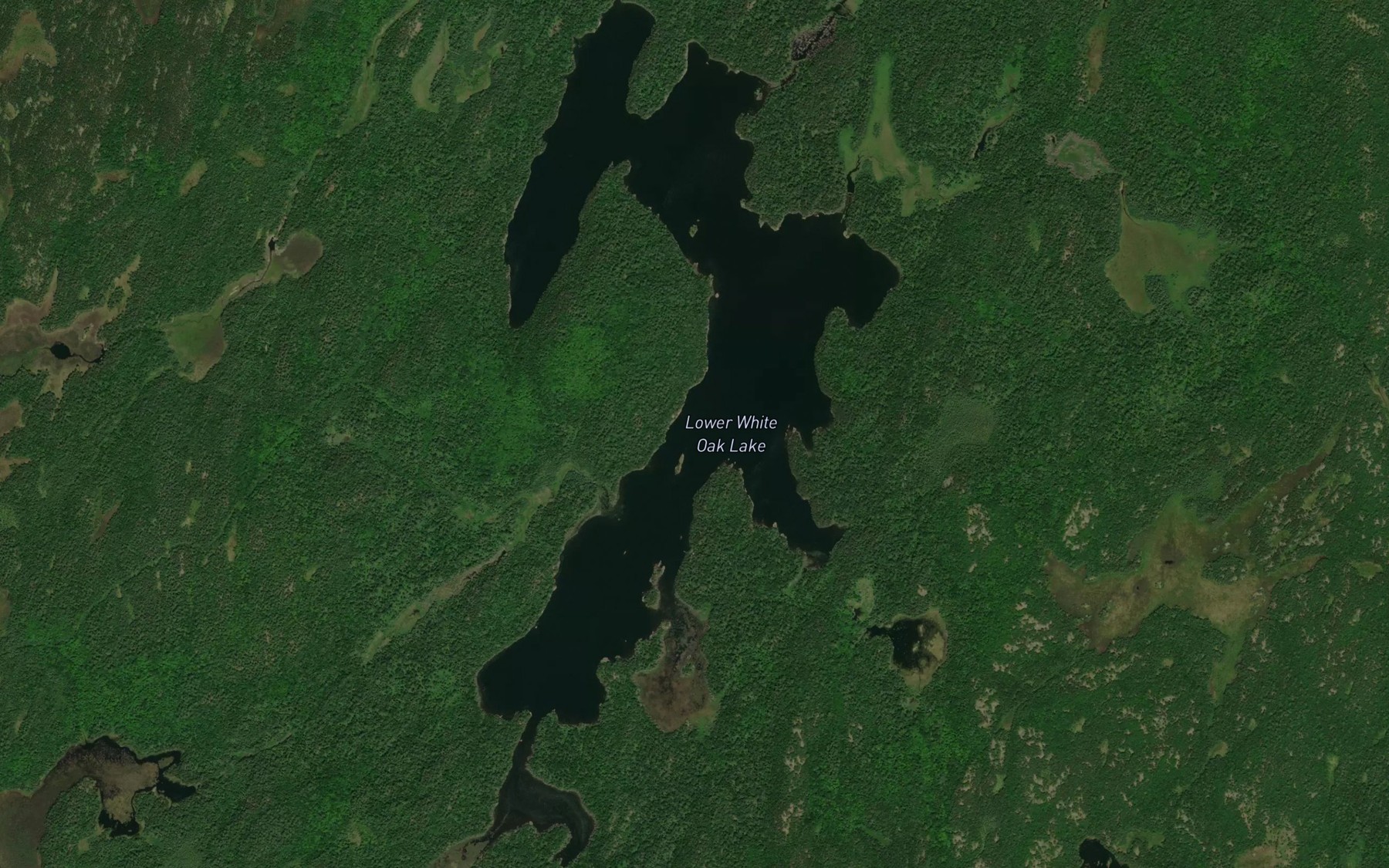 Satellite map of the Lower White Oak Lake