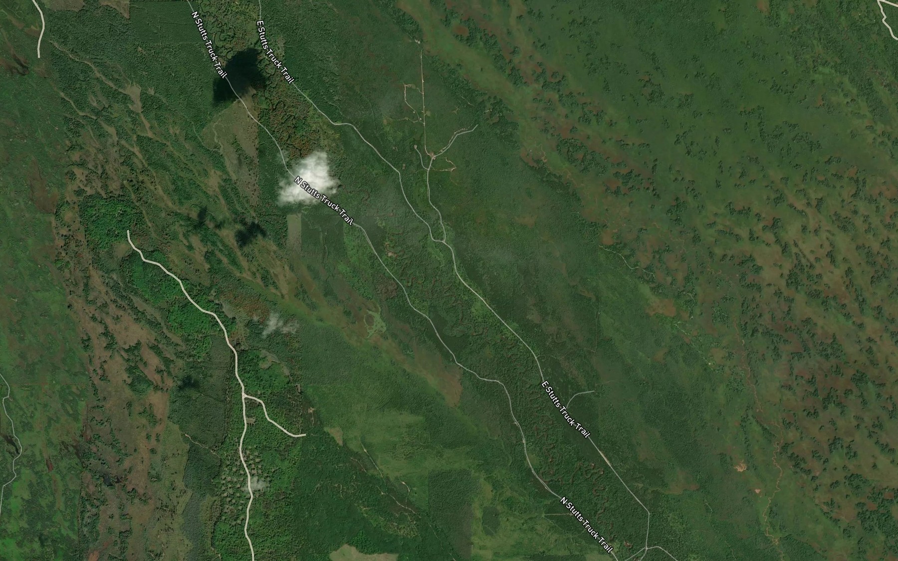 Satellite map of the Bear Slough