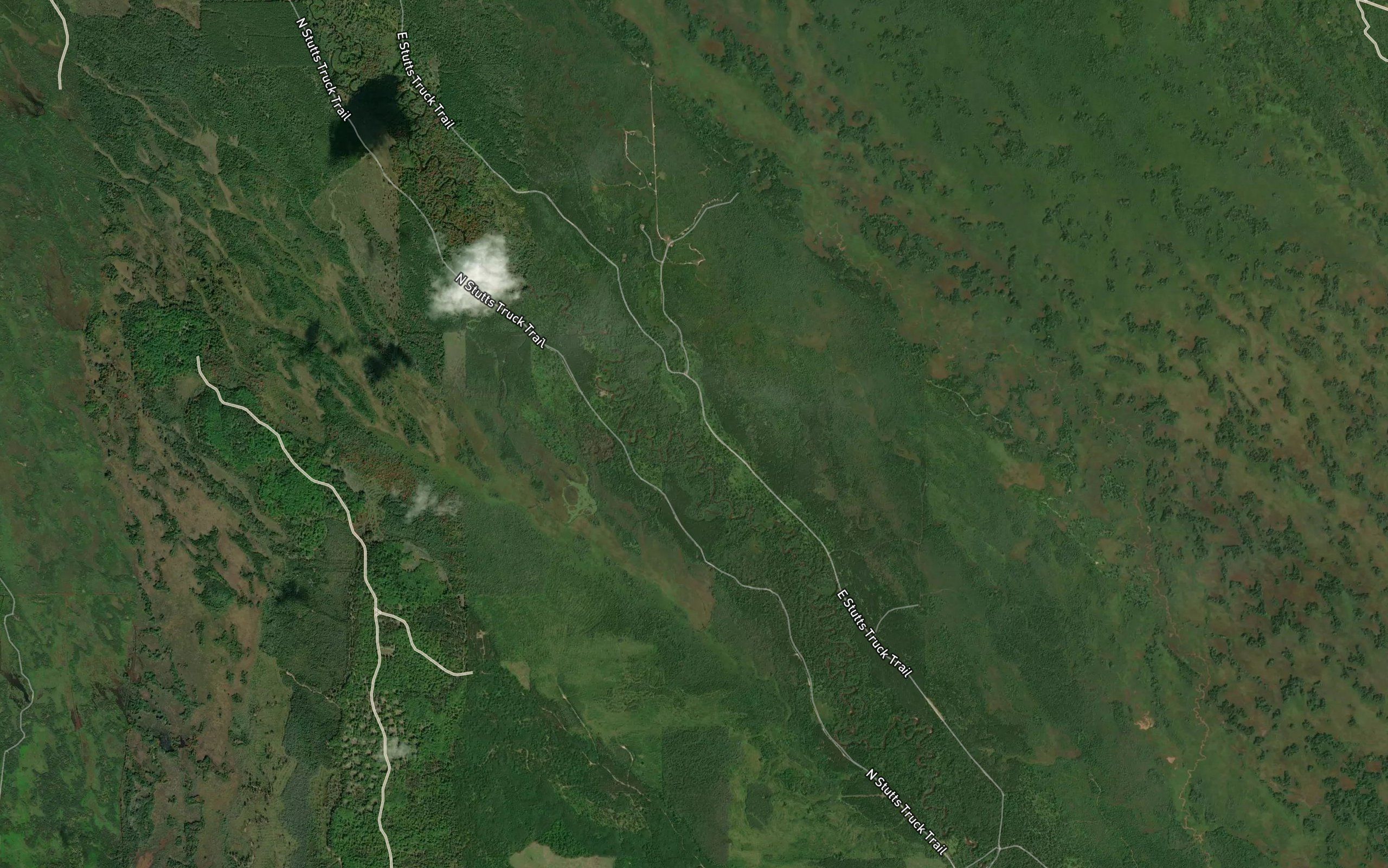 Bear Slough