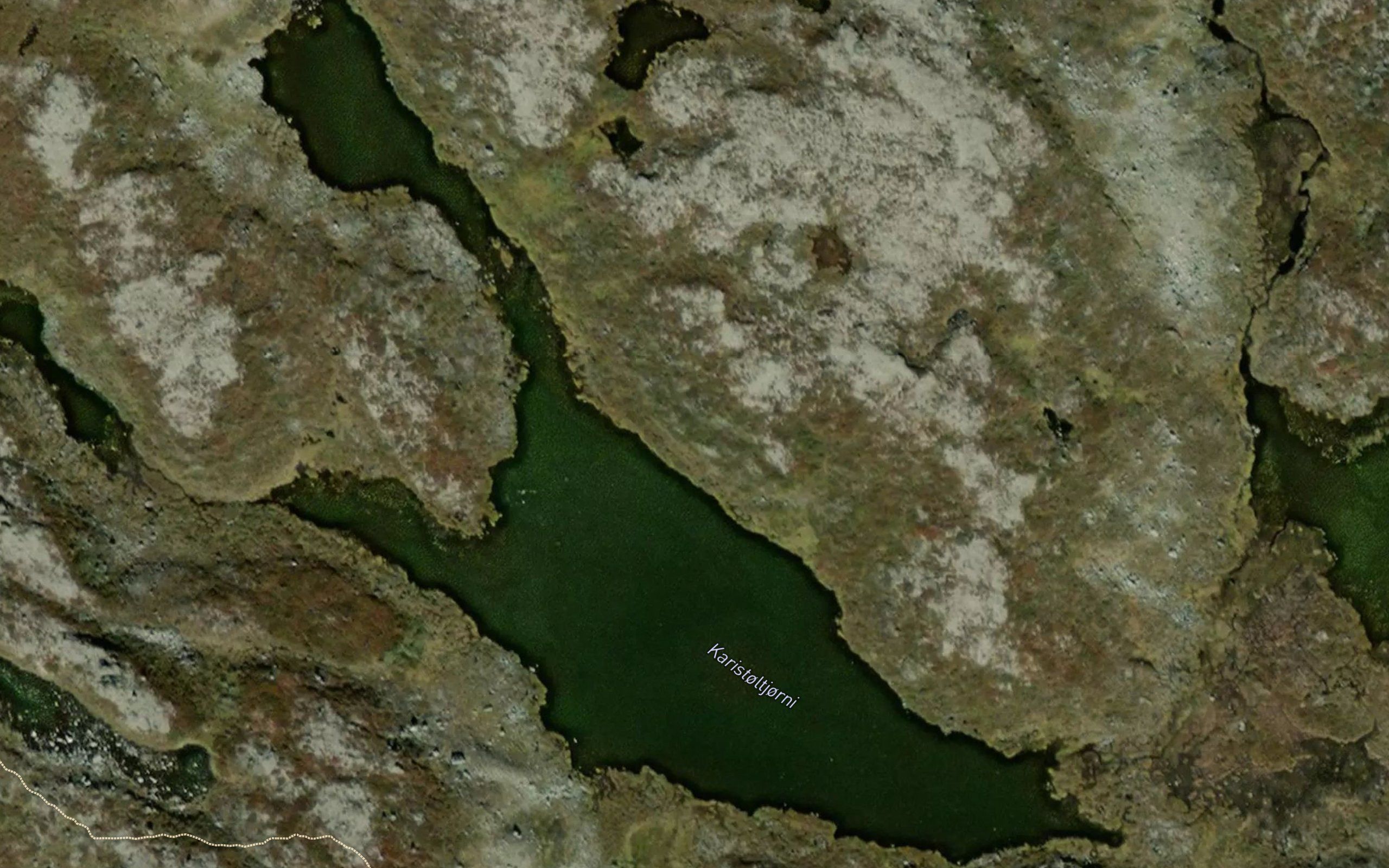 Karistoltjorni