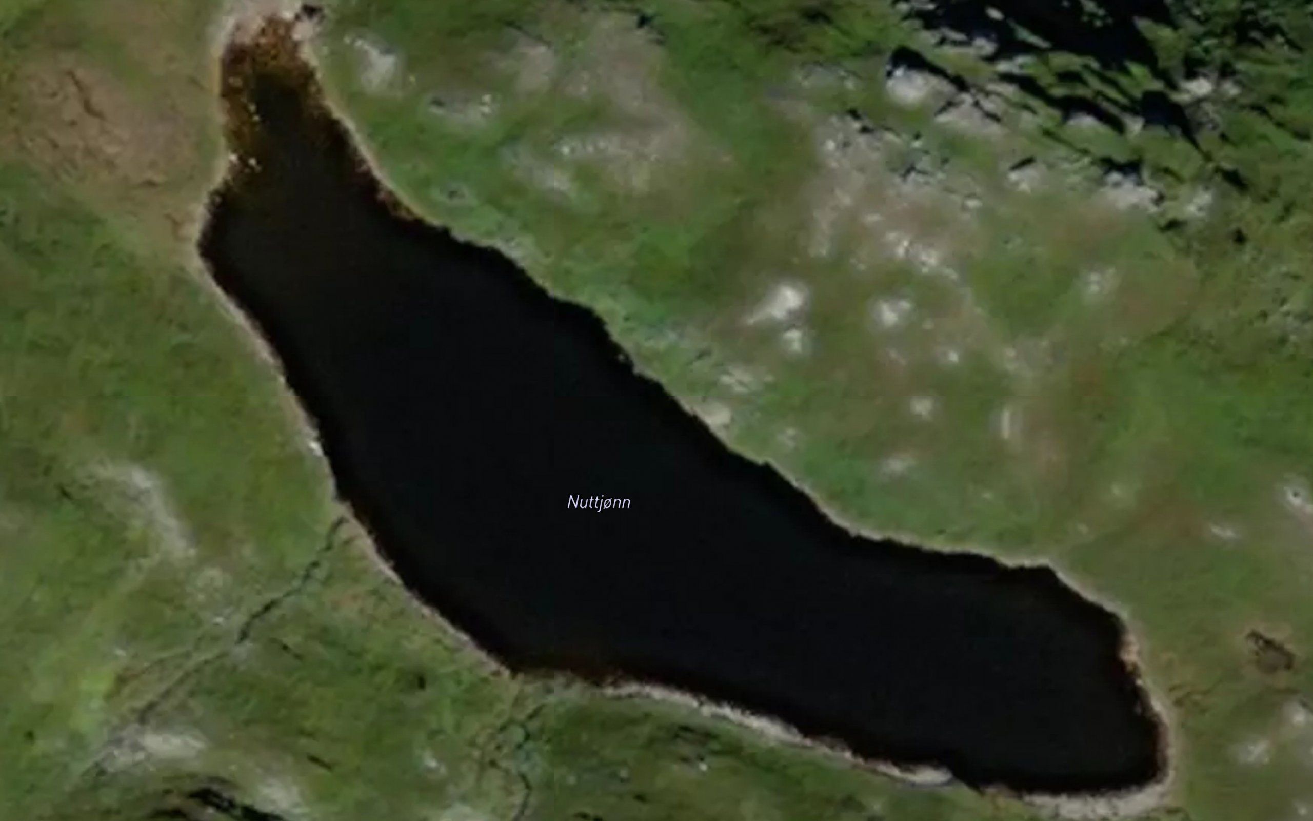 Nuttjorn