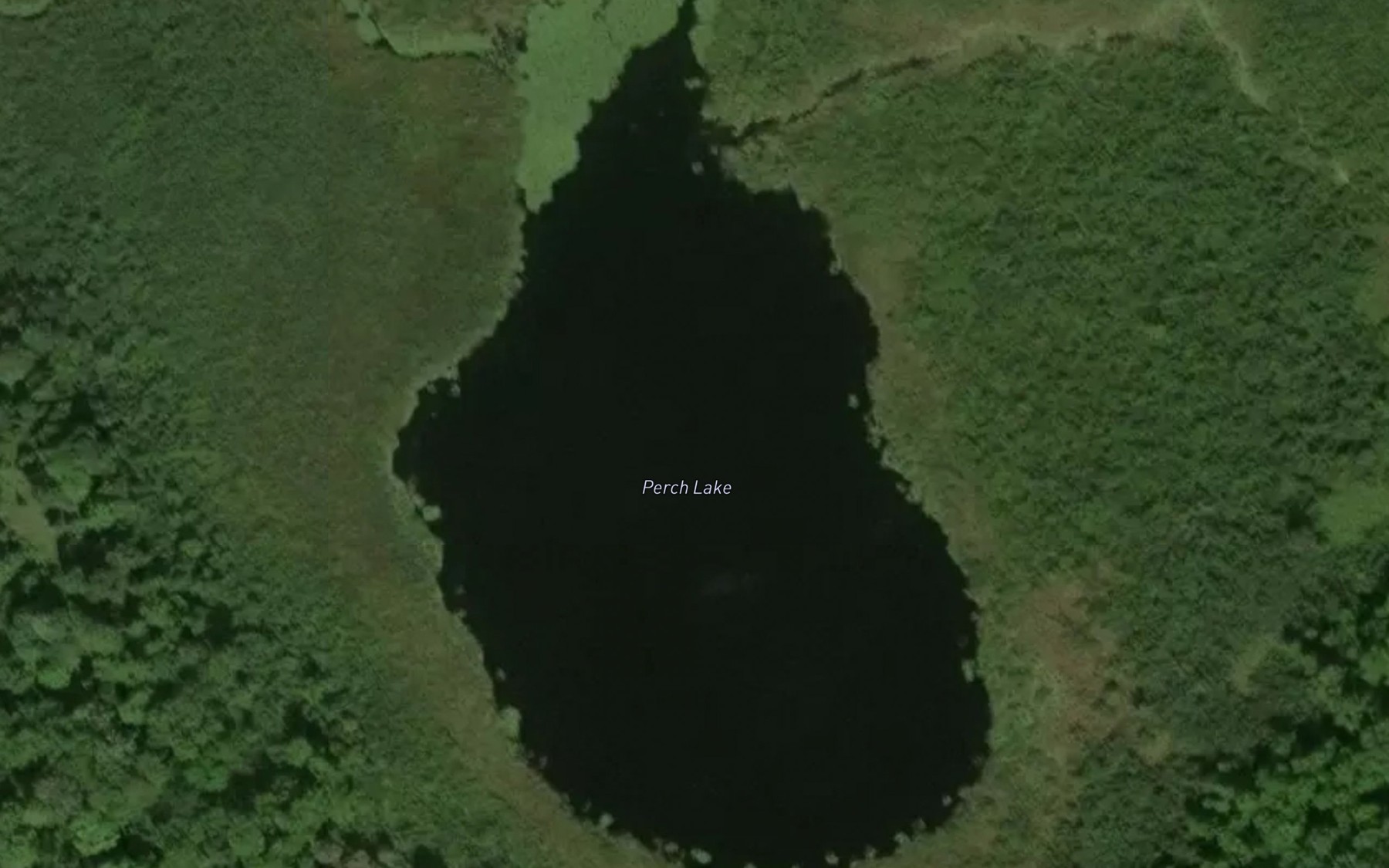 Satellite map of the Perch Lake