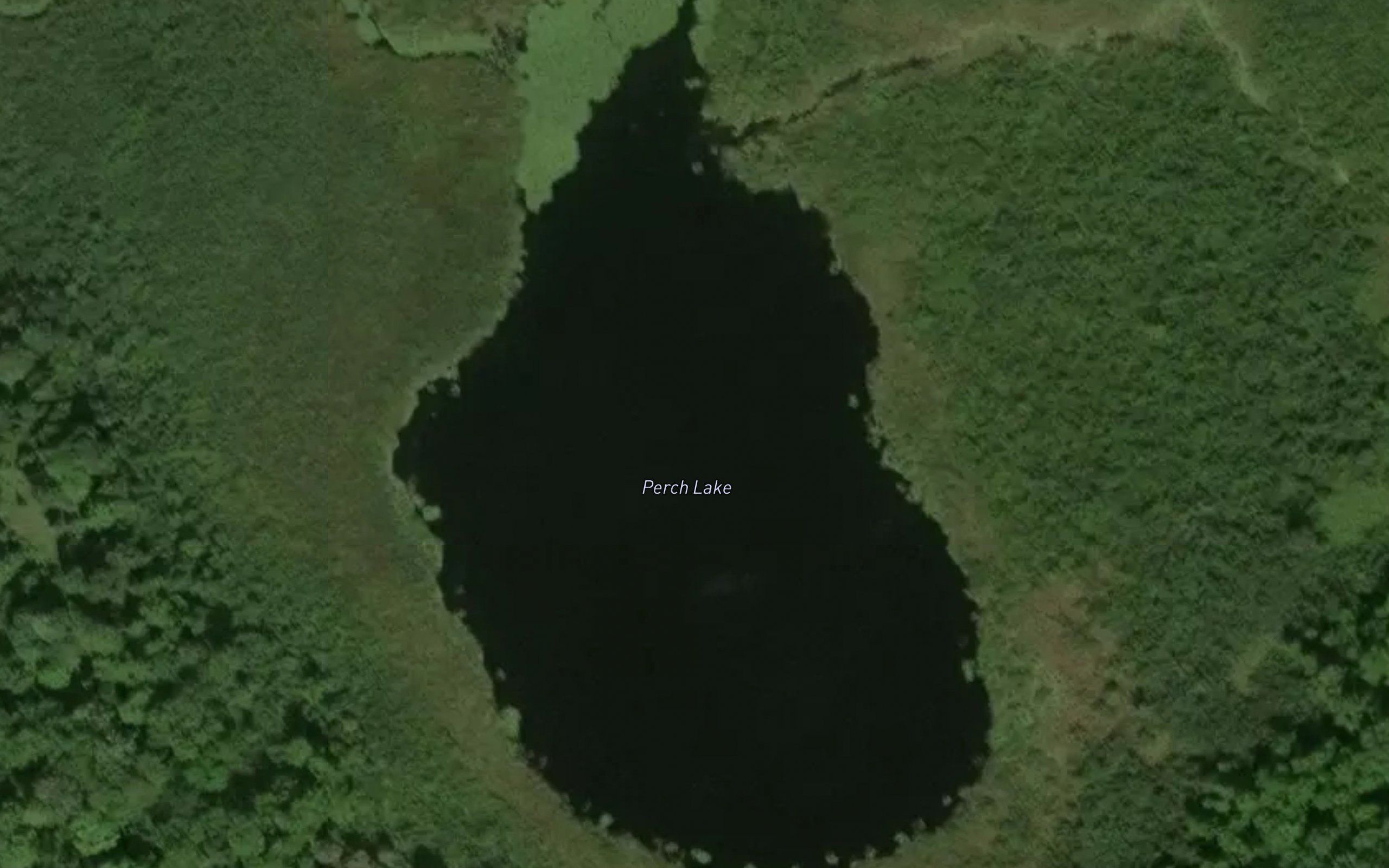 Perch Lake