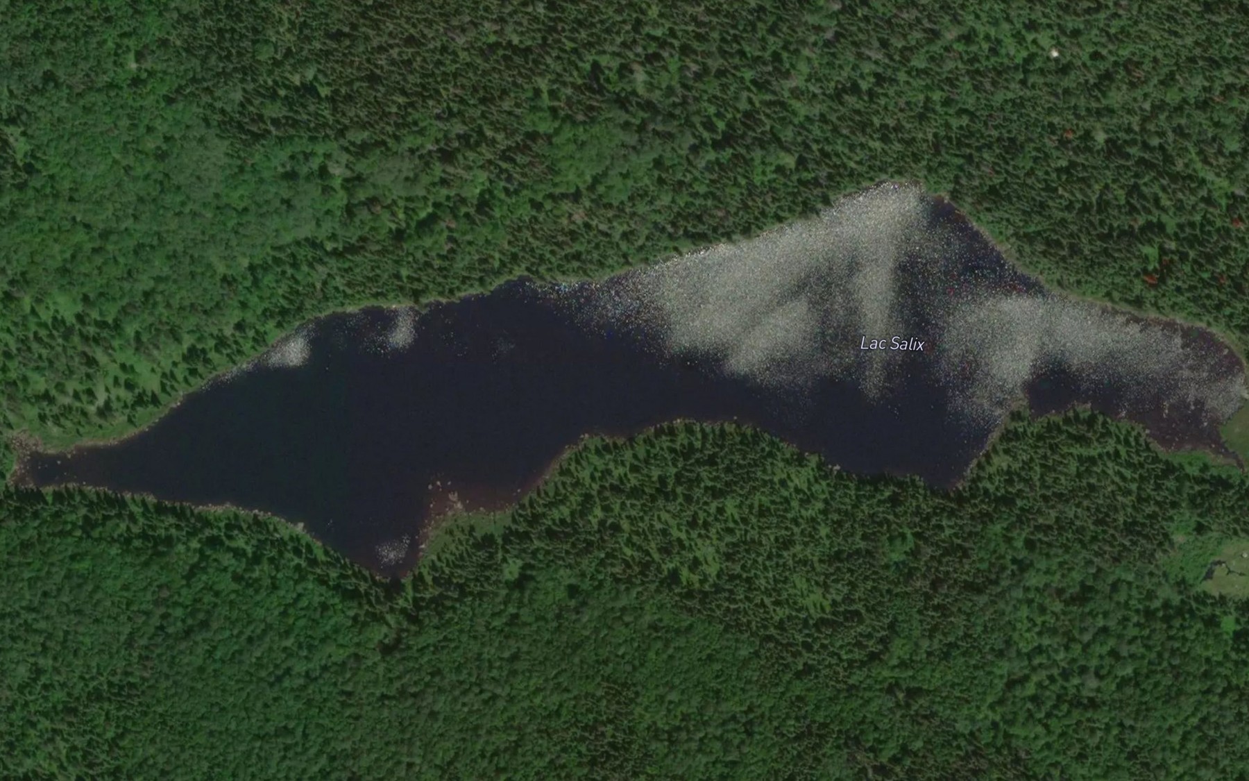 Satellite map of the Lac Salix