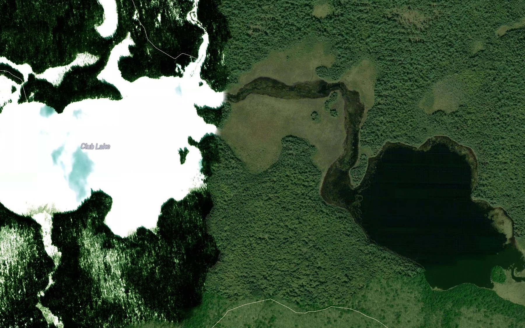 Satellite map of the Club Lake