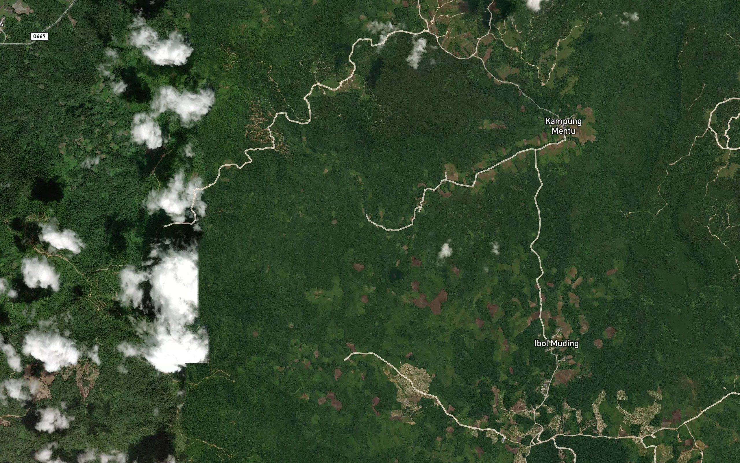 Sungai Lintah