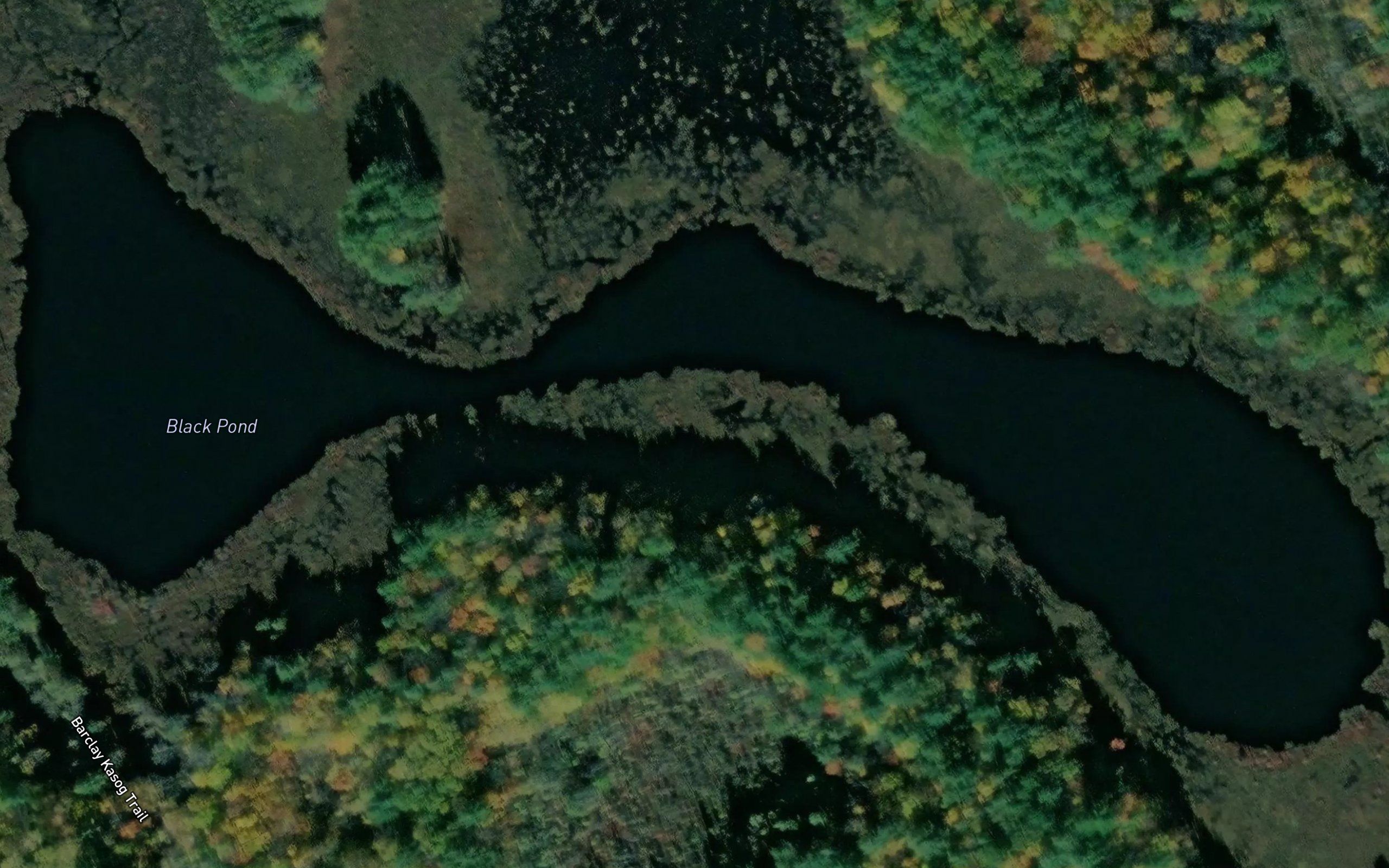 Black Pond