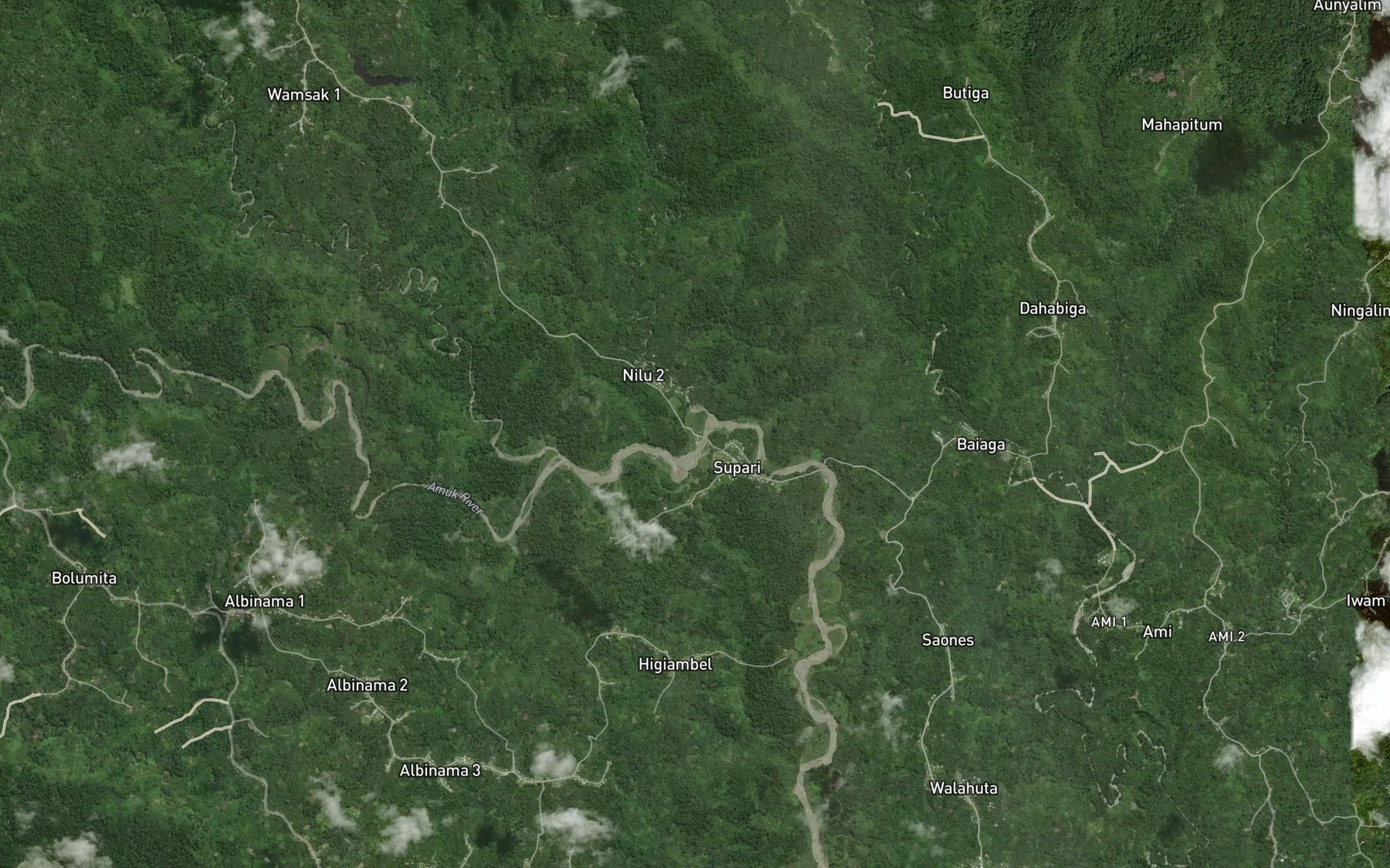 Satellite map of the Numalib River