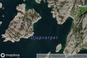 Djupvarpet