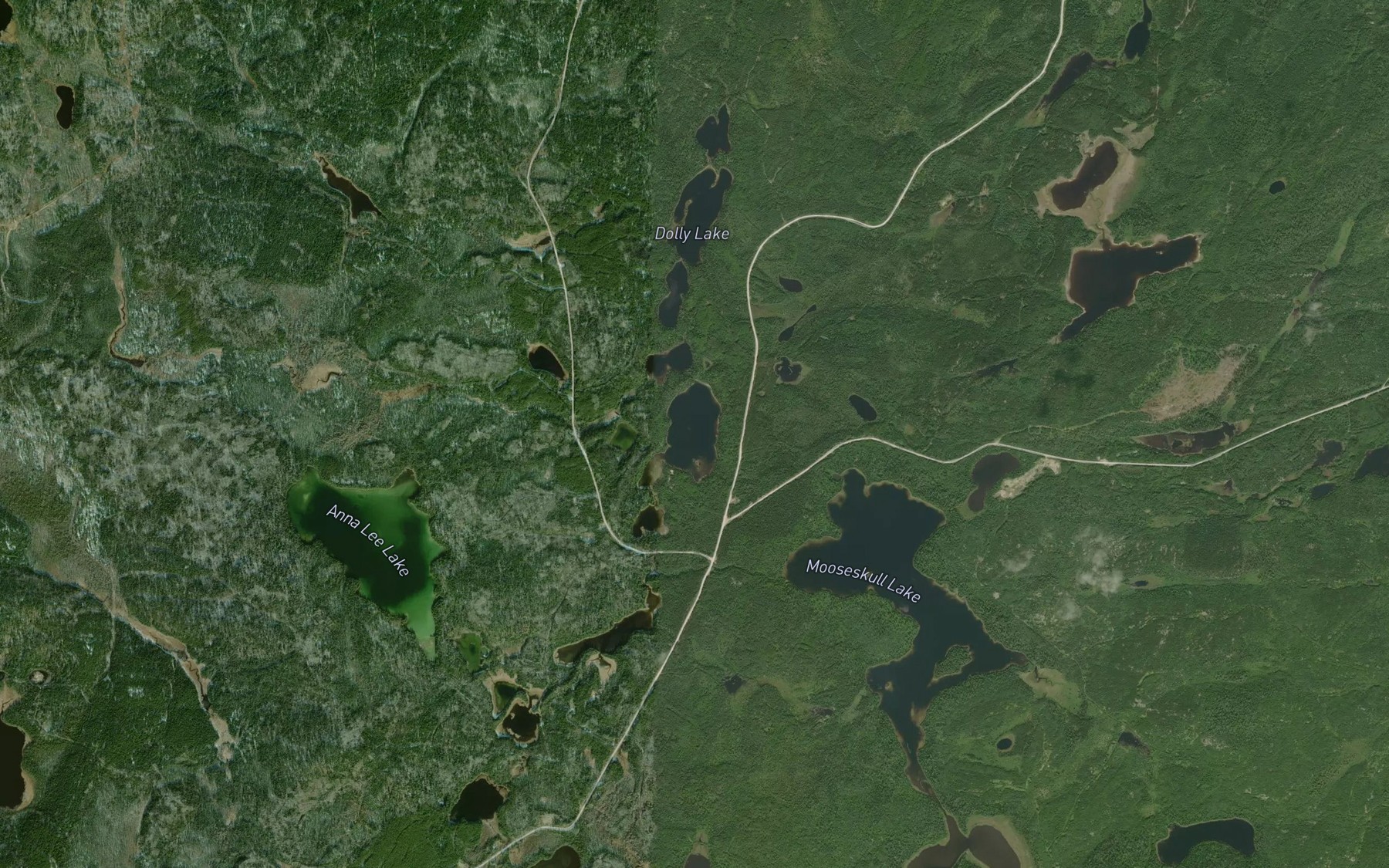 Satellite map of the Patricia Lake