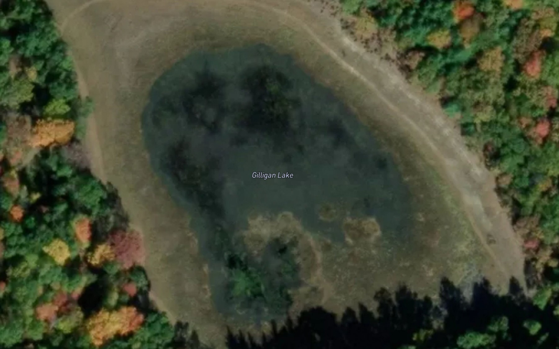 Satellite map of the Gilligan Lake