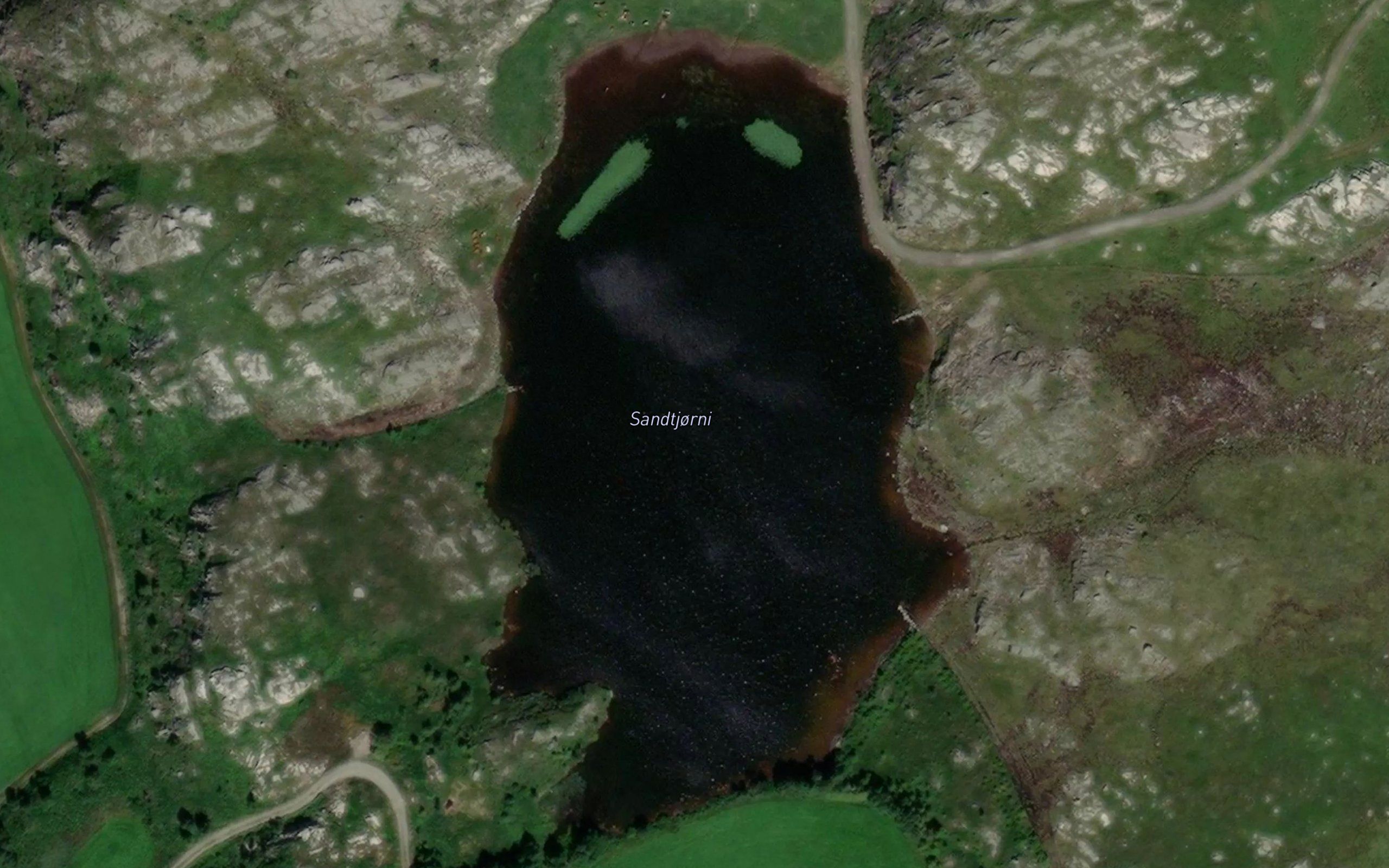 Sandtjorn