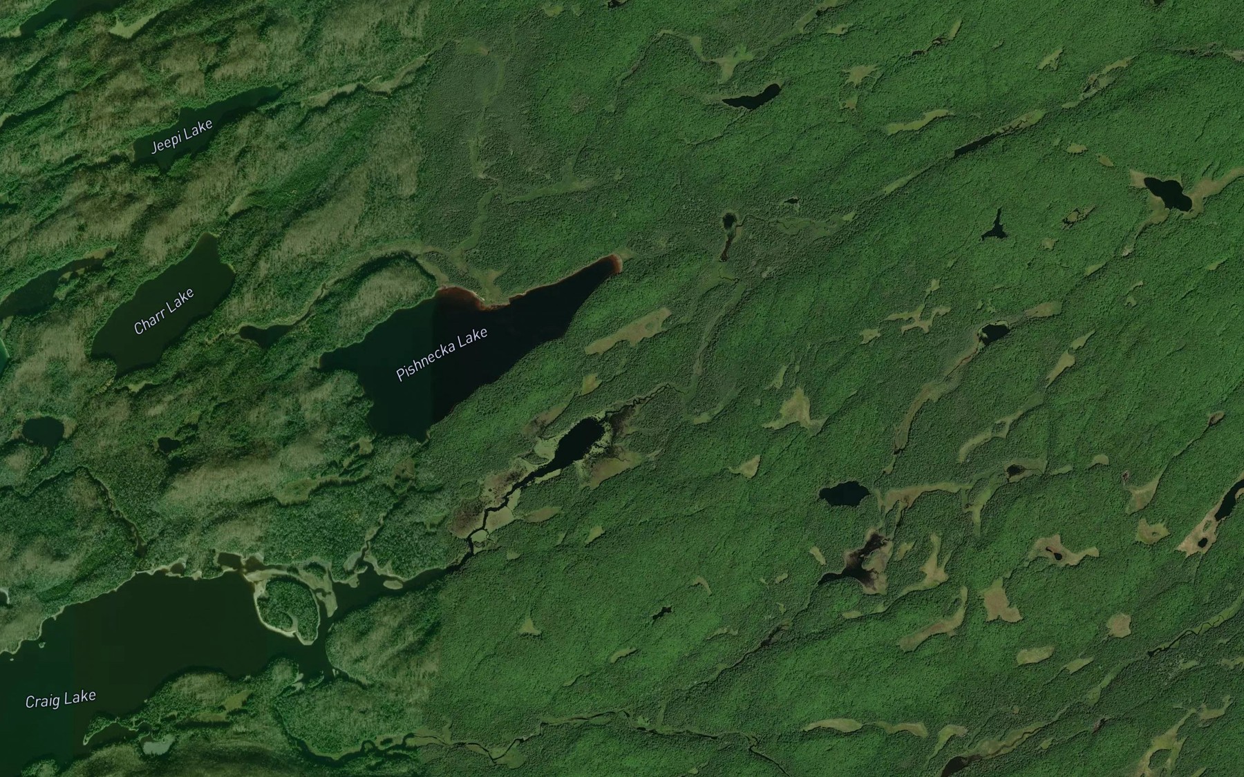 Satellite map of the Ewayea Creek